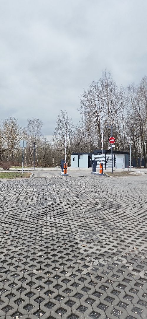 электросталь, мой город, жители города, благоуйстройство, благоустройство 2024, благоустройство парков, весна в парке, весна в подмосковье,