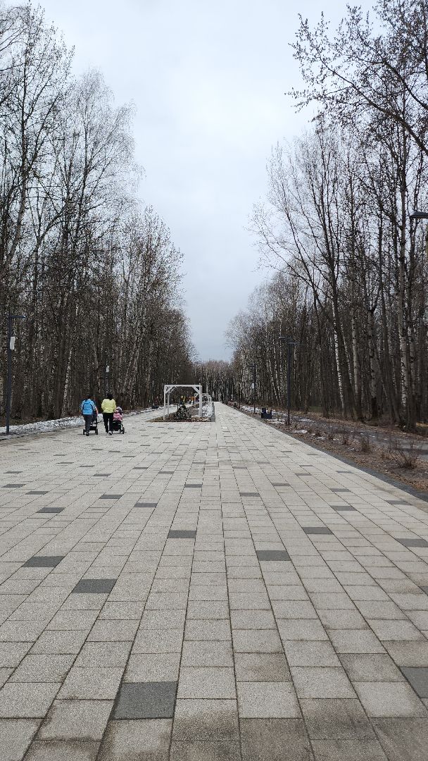 электросталь, мой город, жители города, благоуйстройство, благоустройство 2024, благоустройство парков, весна в парке, весна в подмосковье,