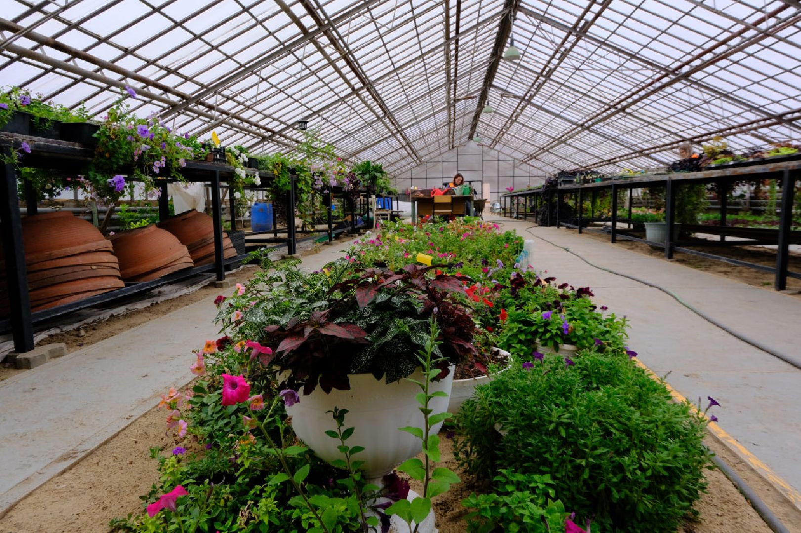 пущино, благоустойство, цветы,