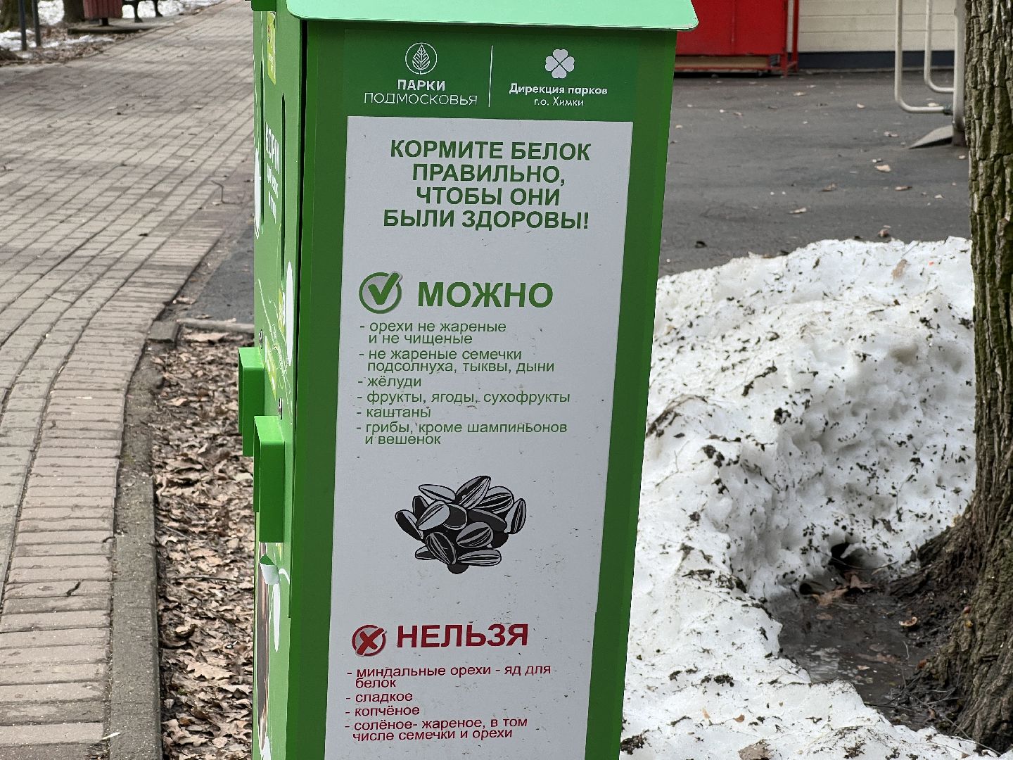 химки, парк, белки, общество,