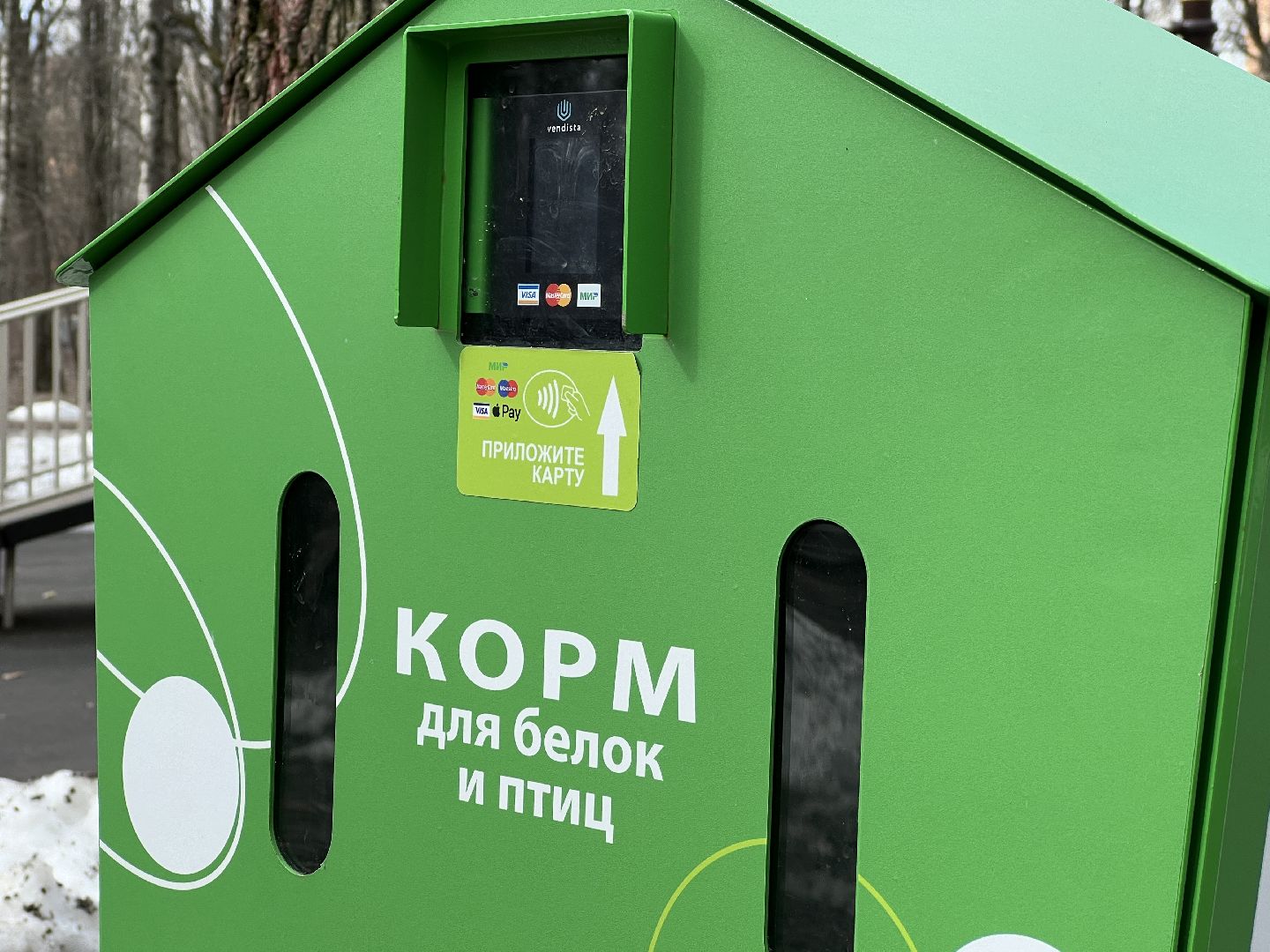 химки, парк, белки, общество,