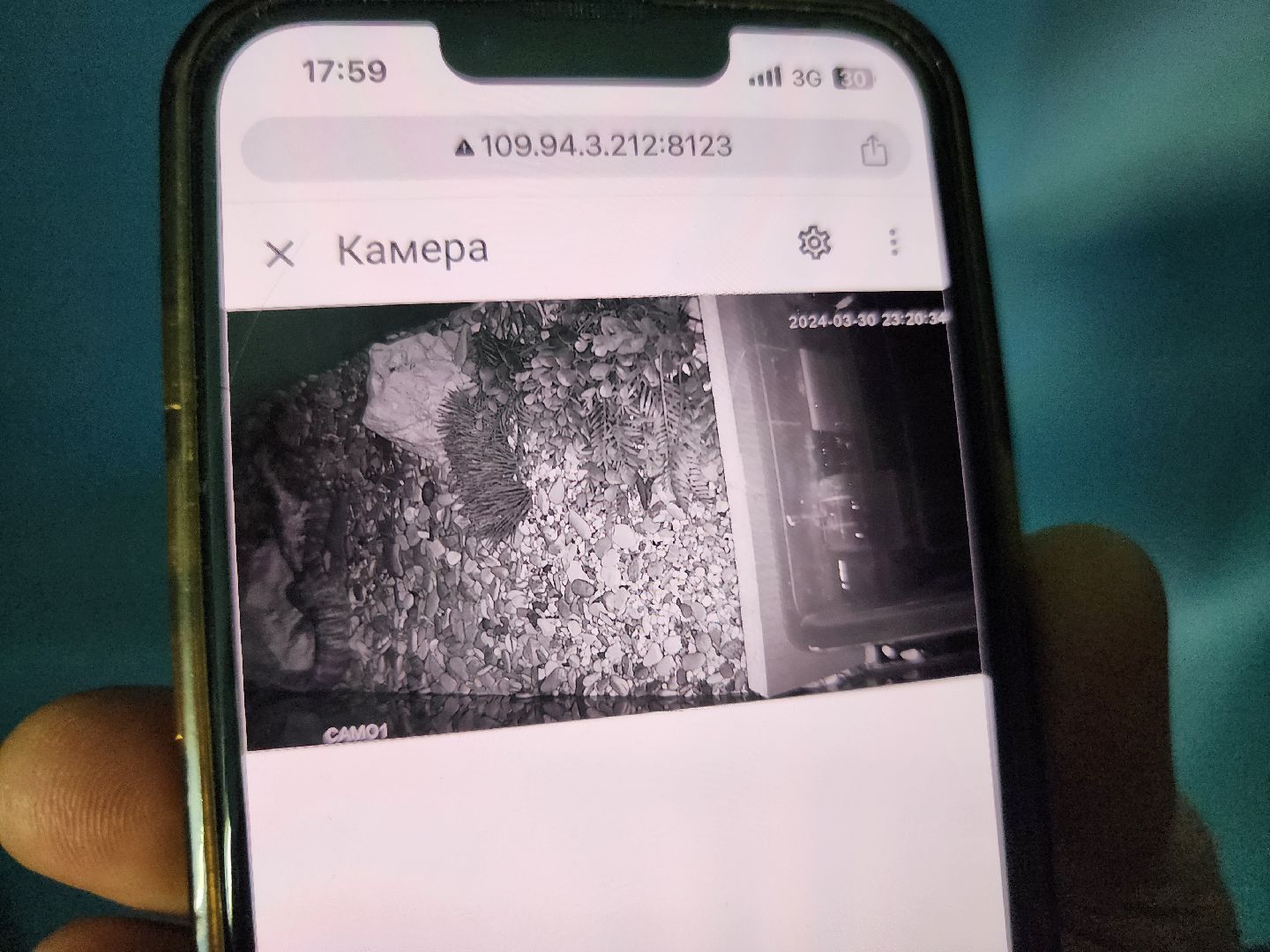 подольск, образование подмосковья, Оранжерея, Школьные проекты,