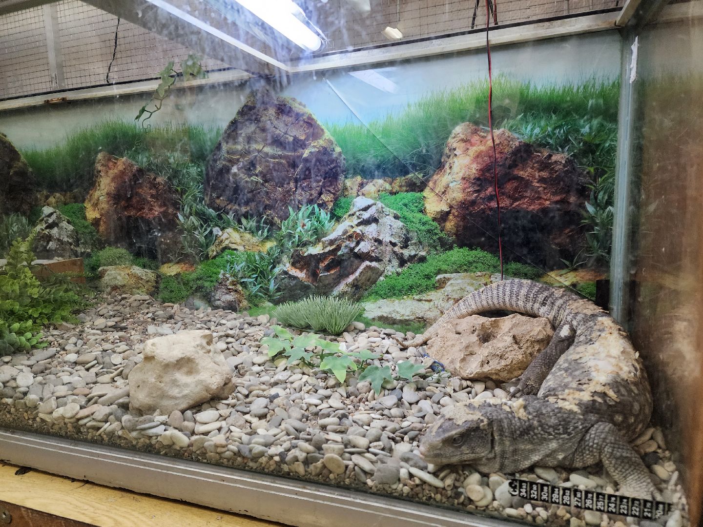 подольск, образование подмосковья, Оранжерея, Школьные проекты,