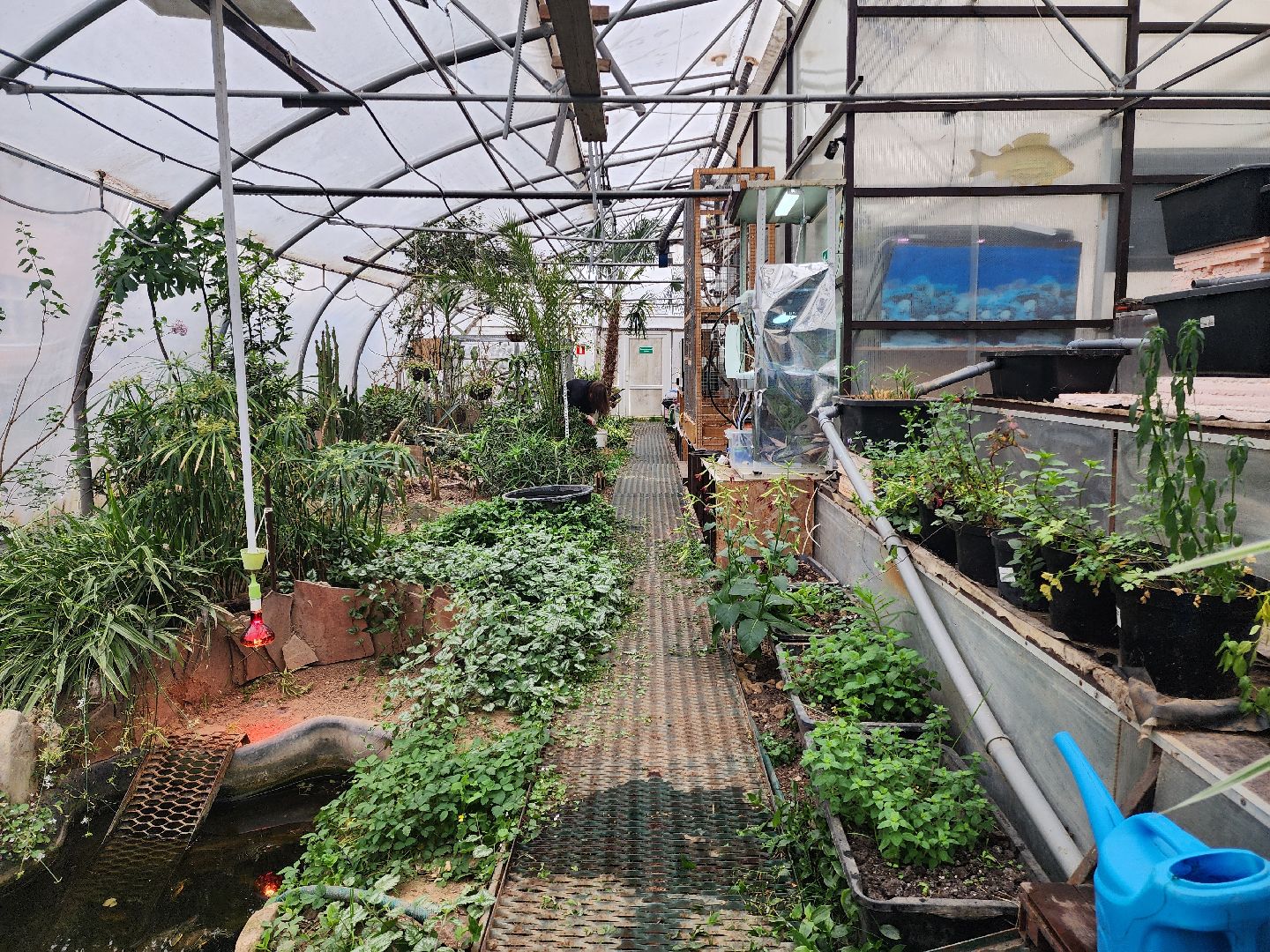 подольск, образование подмосковья, Оранжерея, Школьные проекты,