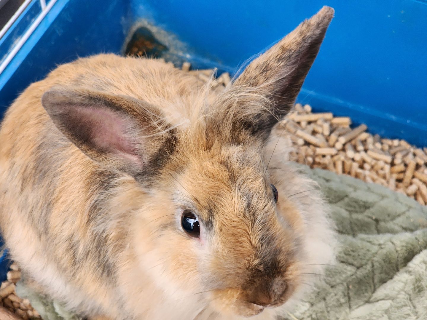 подольск, образование подмосковья, Оранжерея, Школьные проекты,