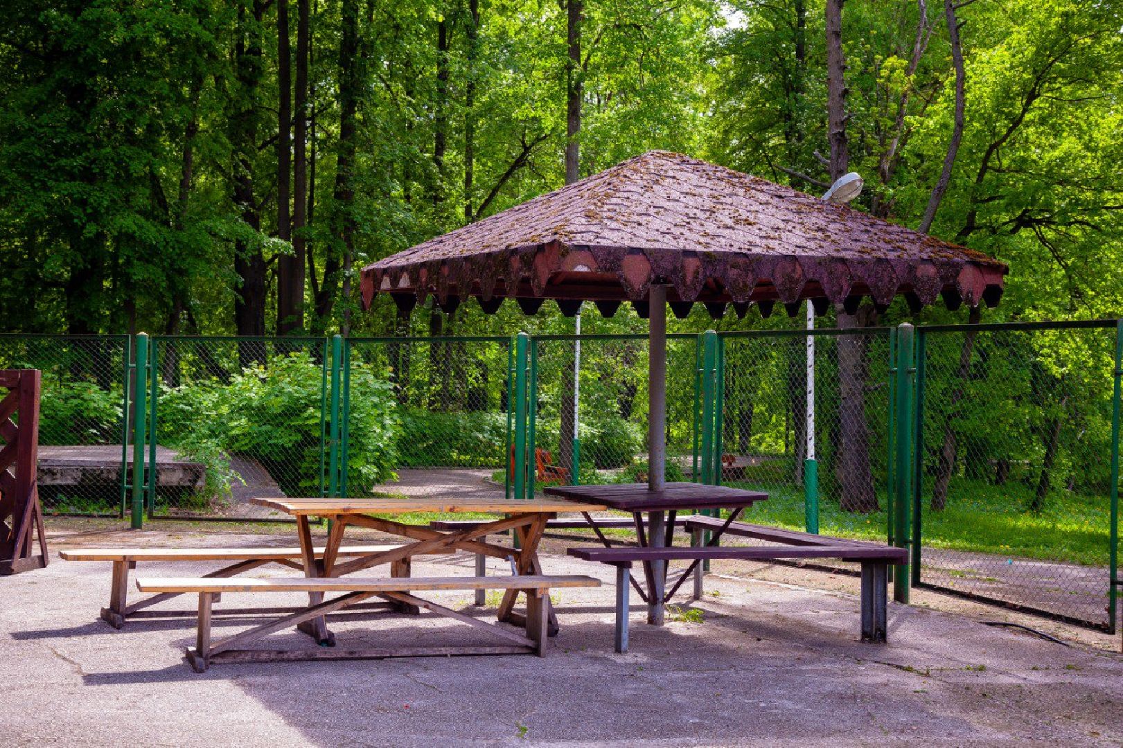 Звенигород, Туризм, Отдых на природе,