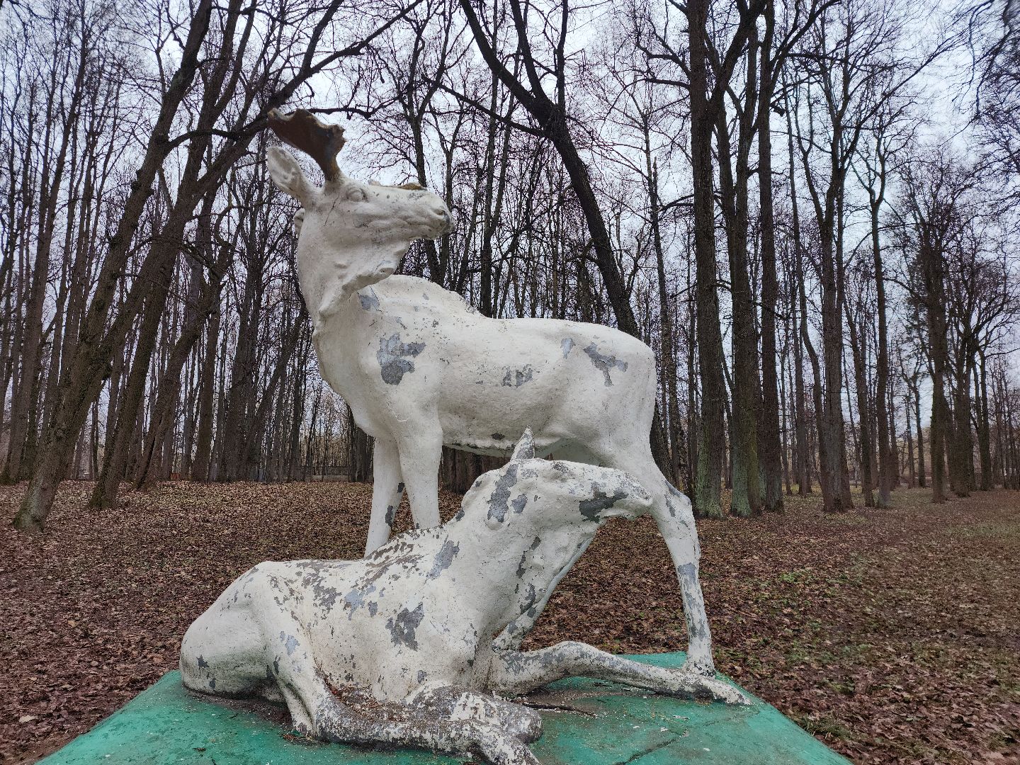 Звенигород, Туризм, Отдых на природе,