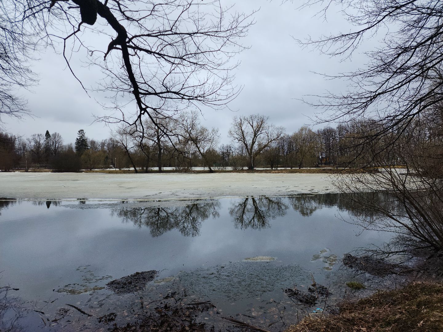 Звенигород, Туризм, Отдых на природе,