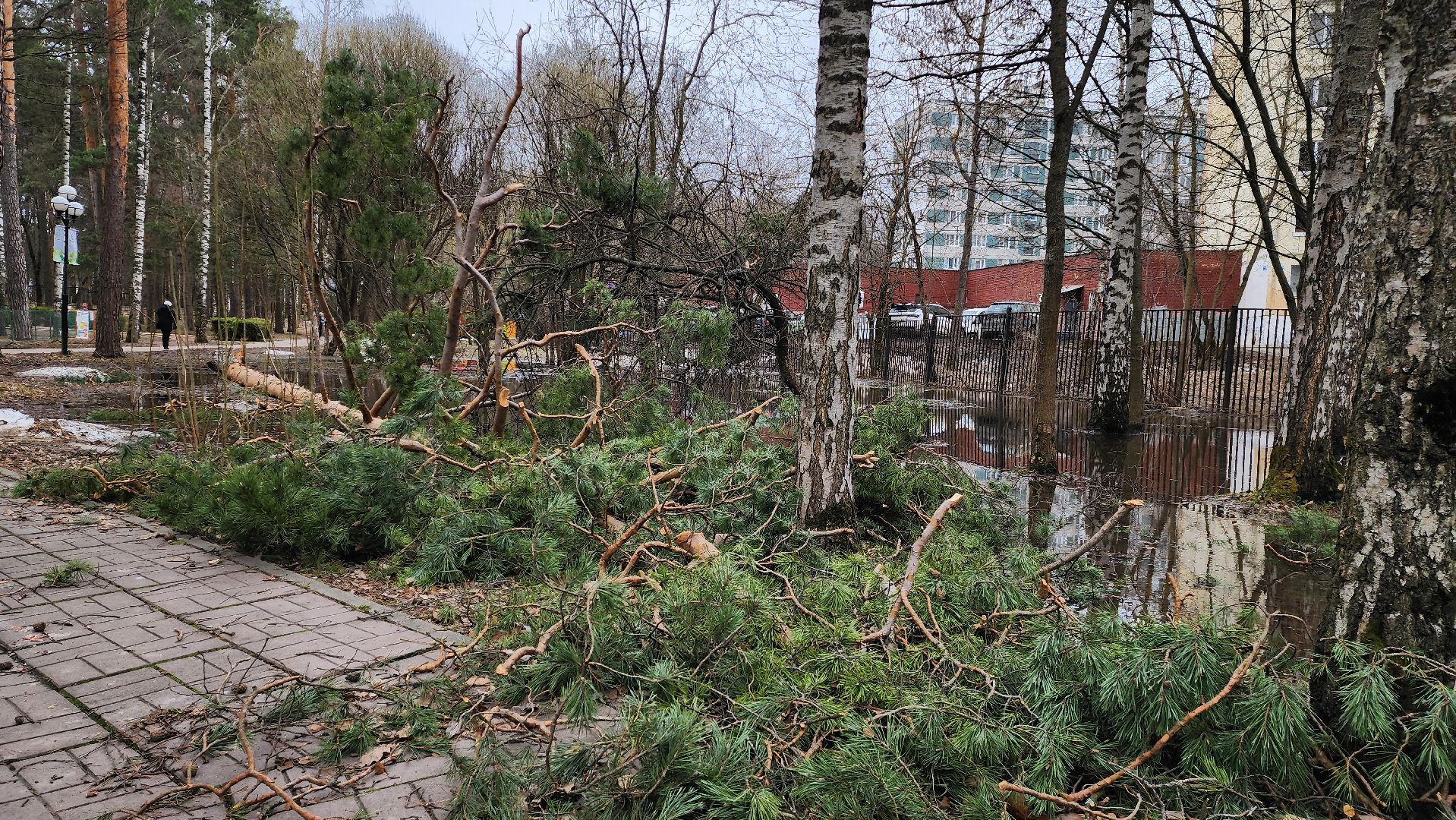 красногорск, детский городок, сильный ветер, непогода, упавшие деревья,