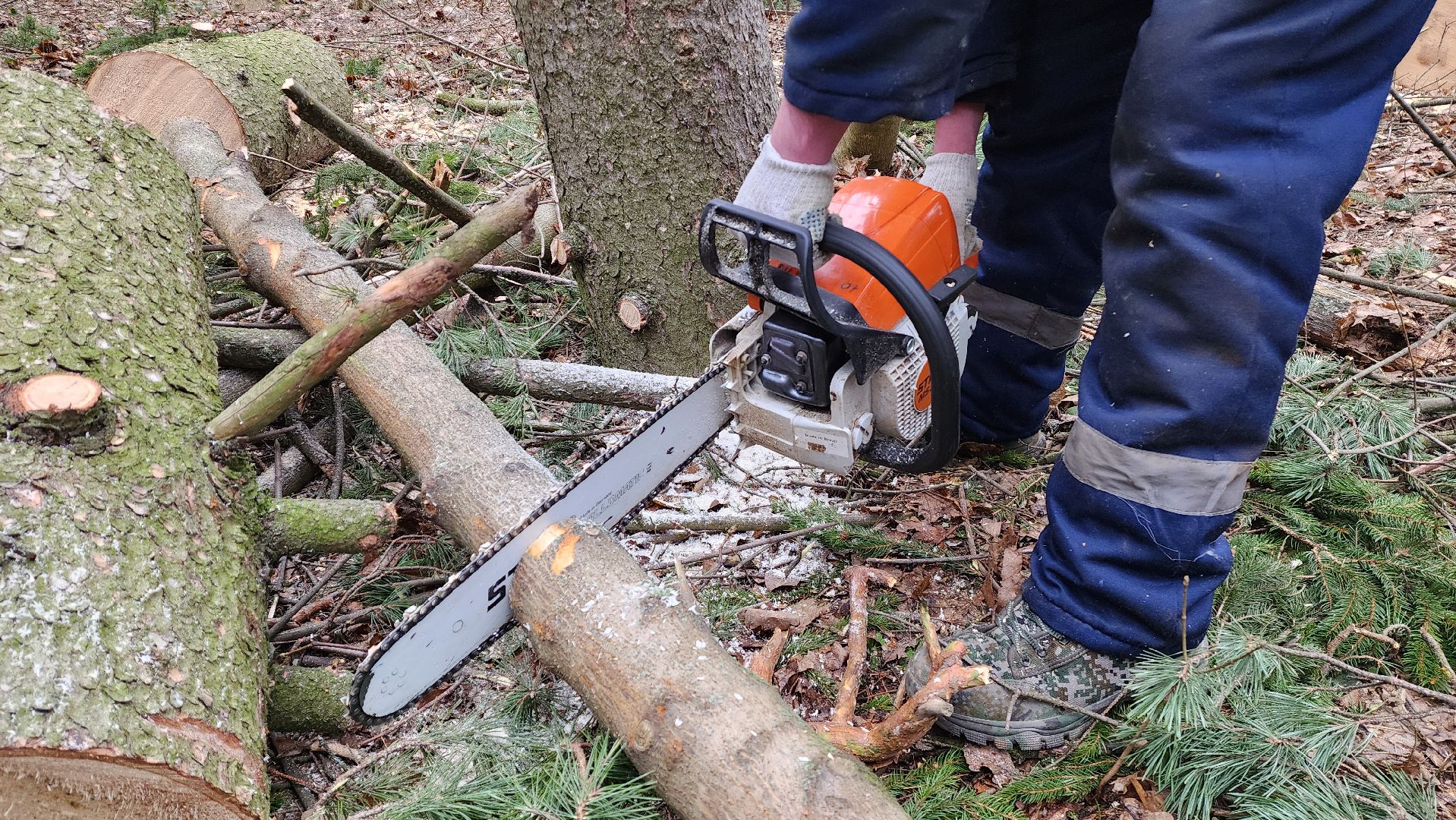 красногорск, детский городок, сильный ветер, непогода, упавшие деревья,