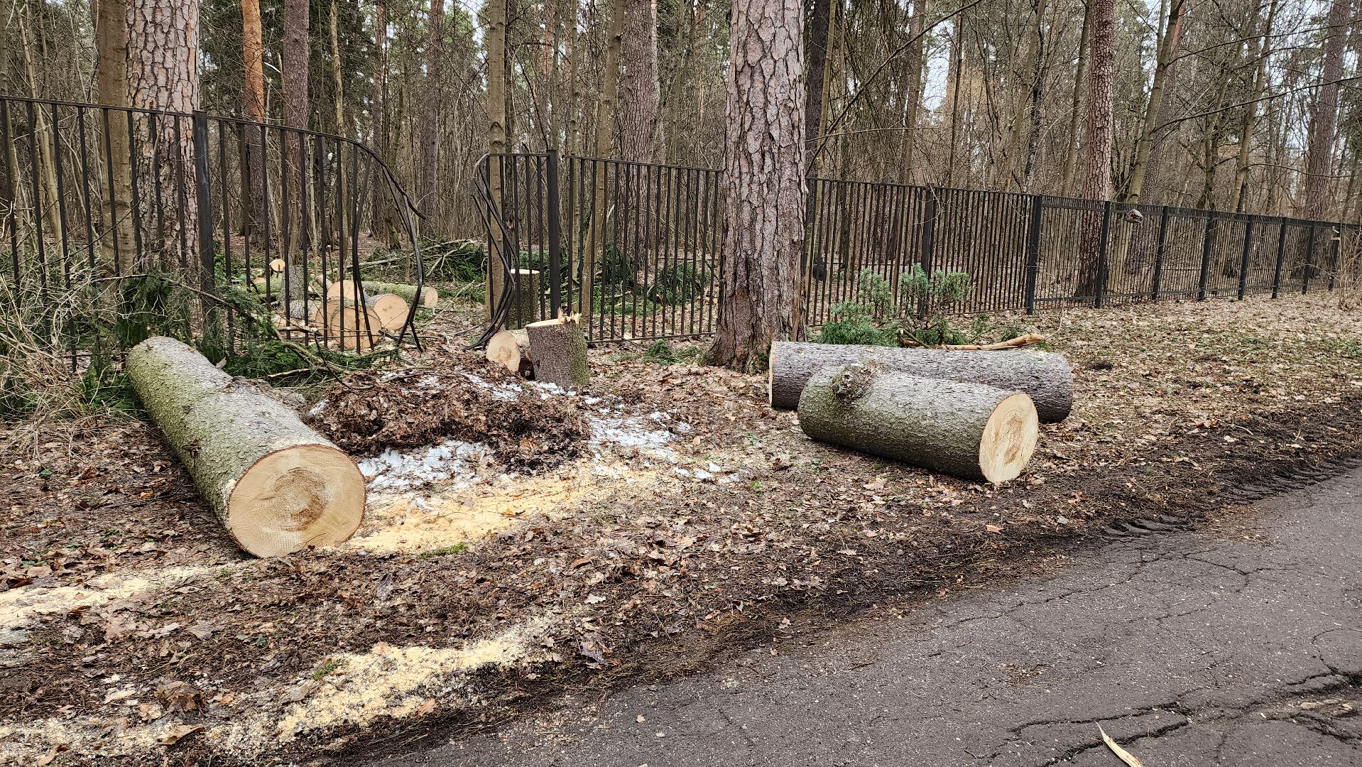 красногорск, детский городок, сильный ветер, непогода, упавшие деревья,