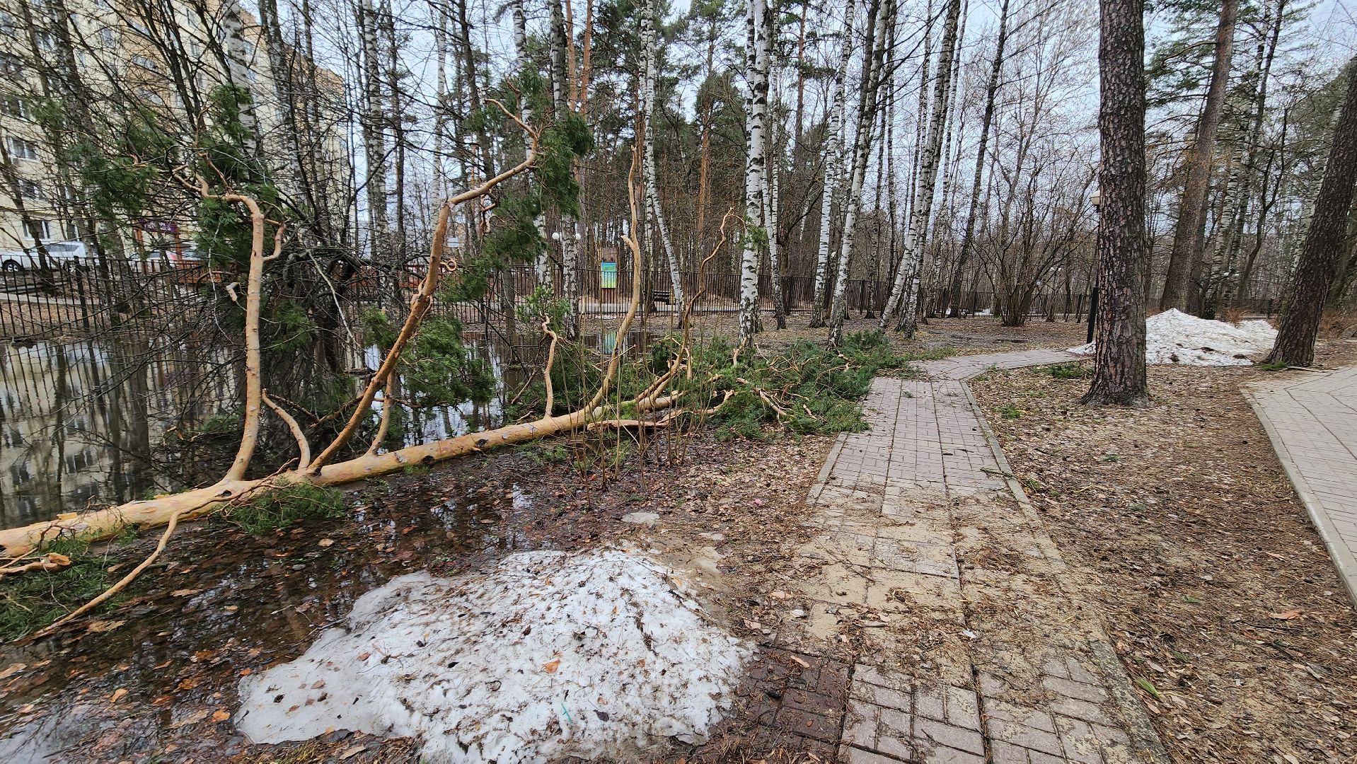 красногорск, детский городок, сильный ветер, непогода, упавшие деревья,