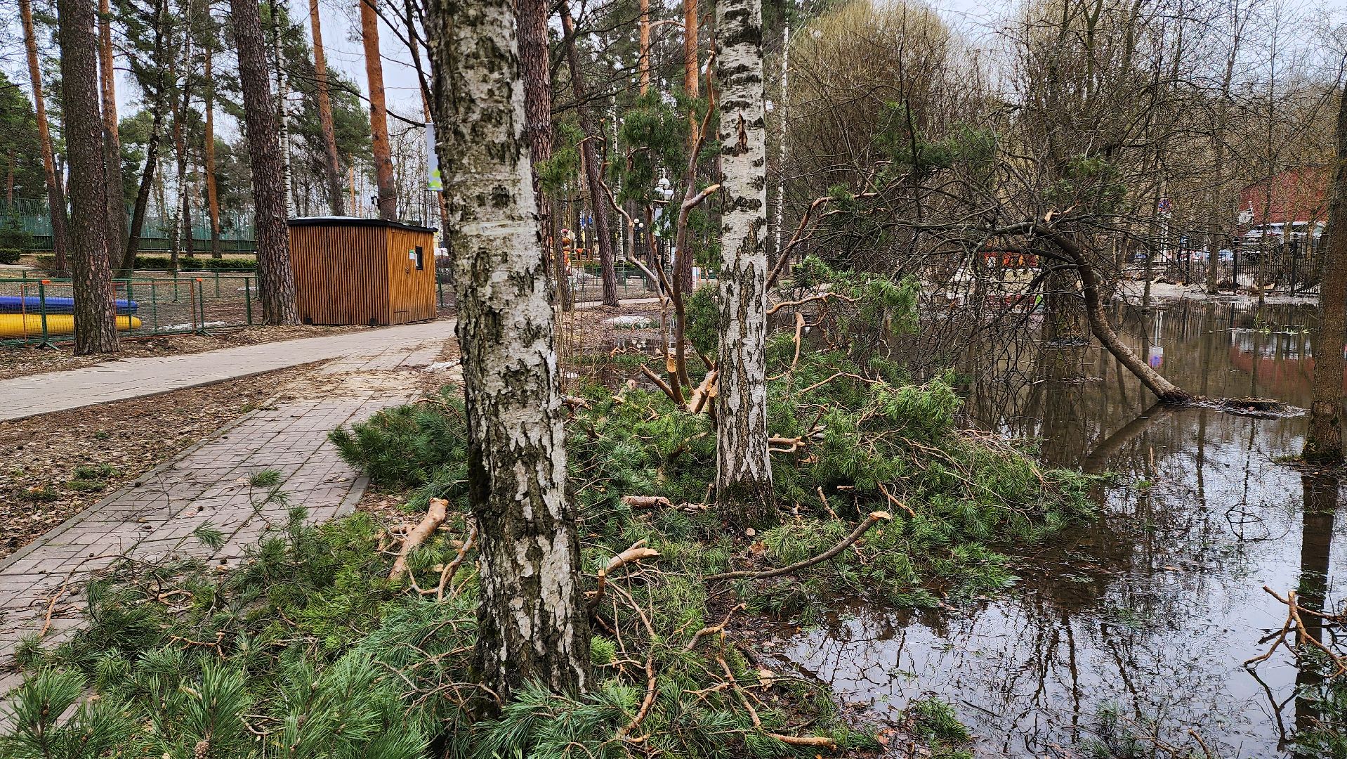 красногорск, детский городок, сильный ветер, непогода, упавшие деревья,