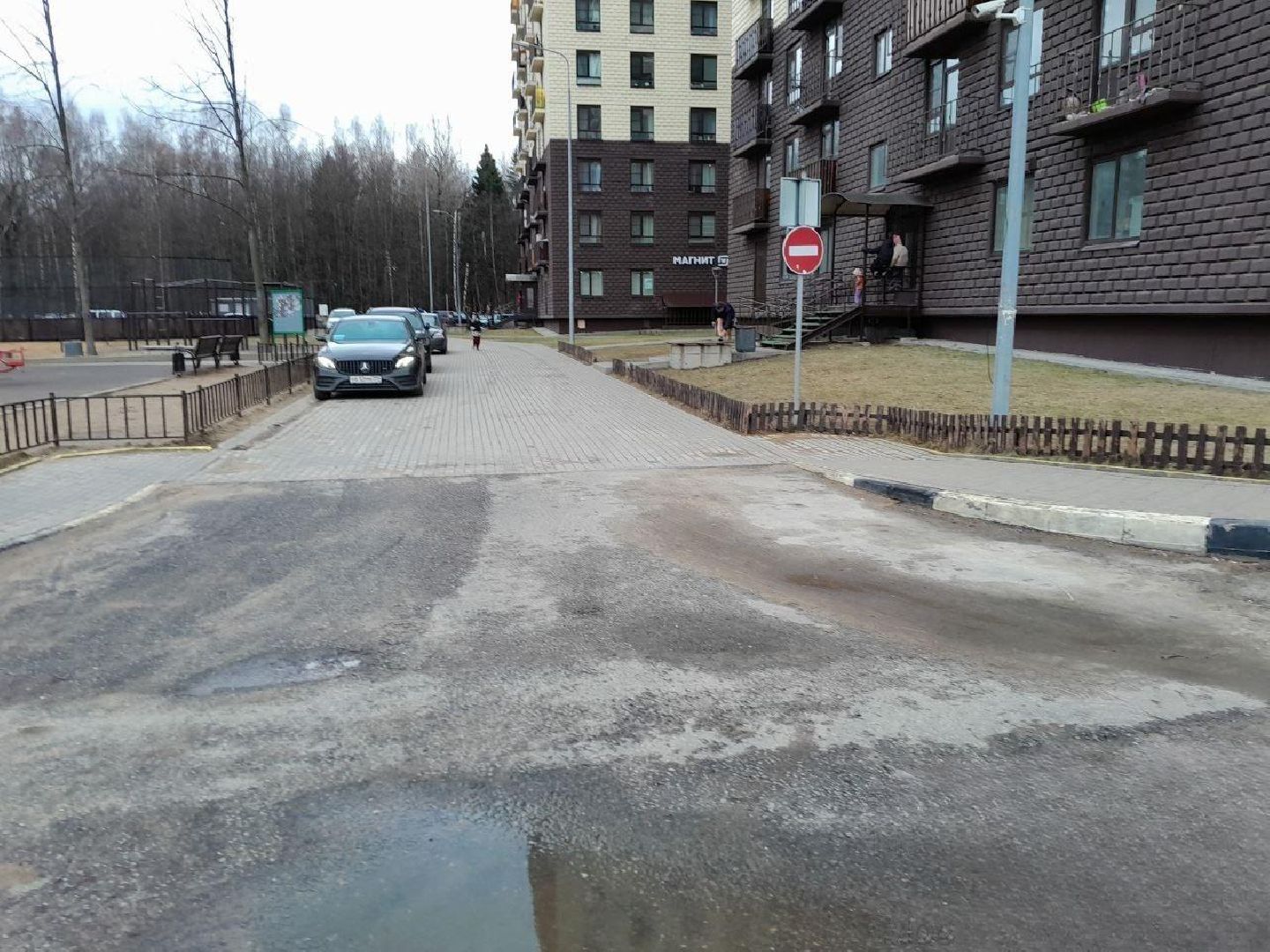 лес, подтопление домов, паводки,