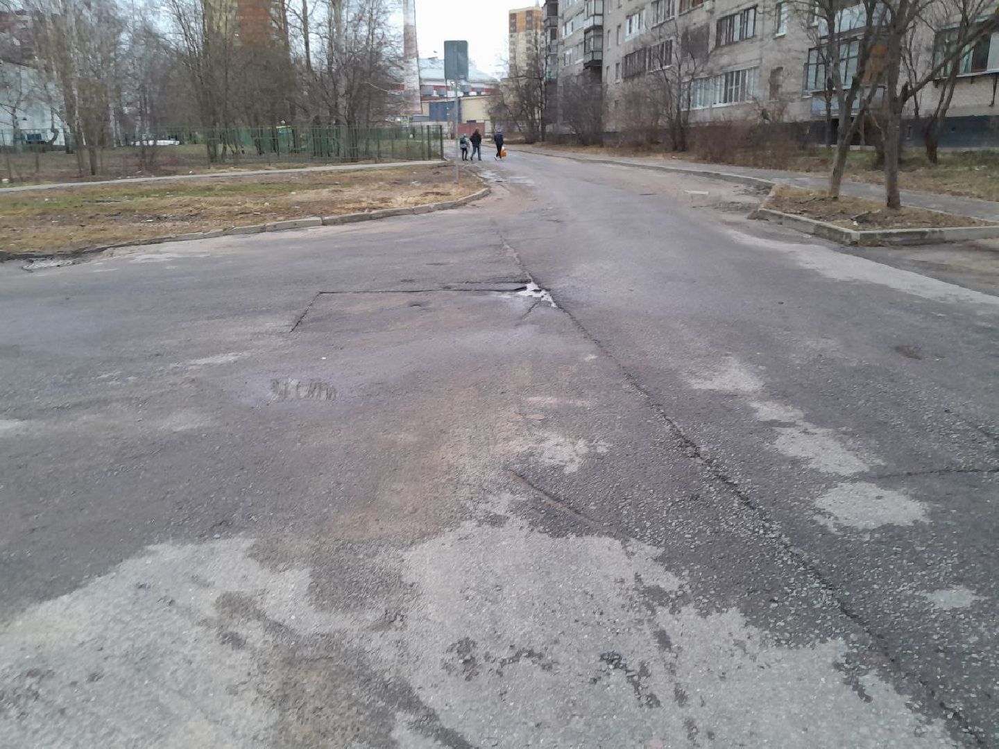 лес, подтопление домов, паводки,