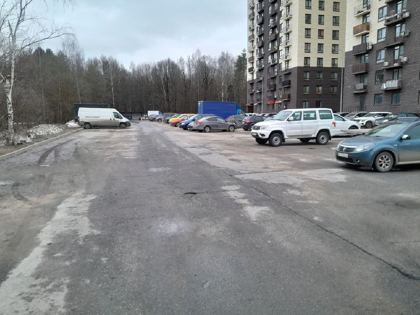 лес, подтопление домов, паводки,