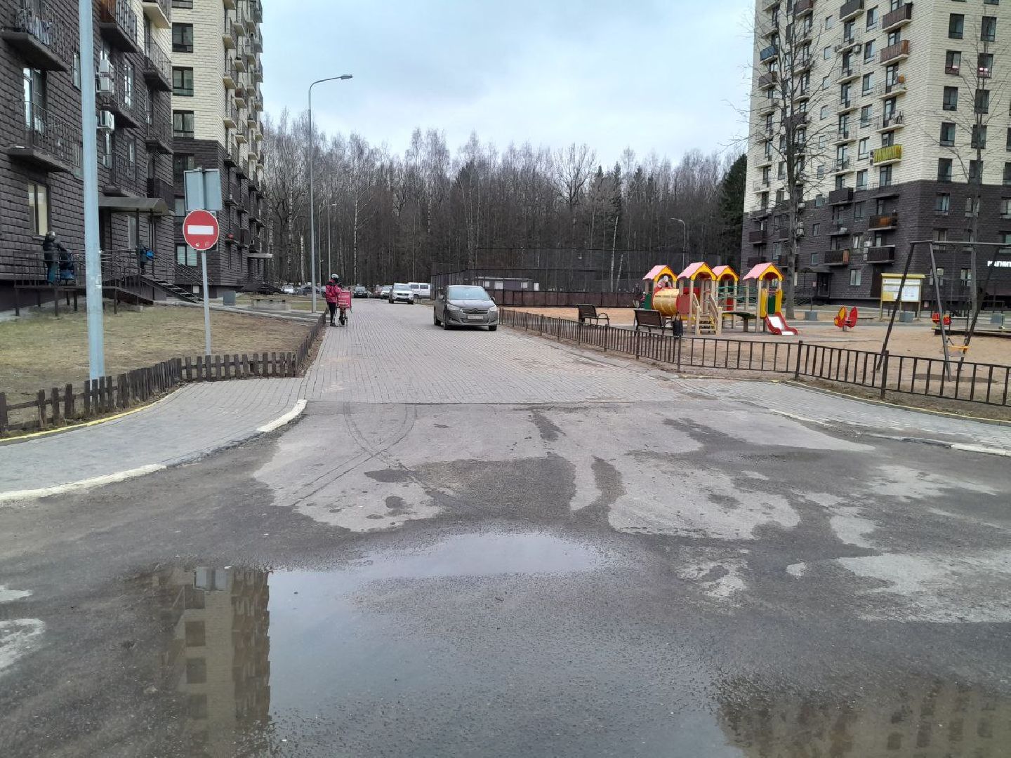 лес, подтопление домов, паводки,