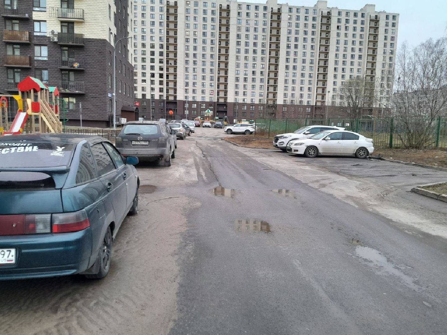 лес, подтопление домов, паводки,