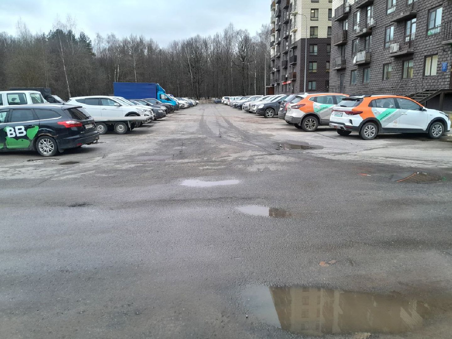 лес, подтопление домов, паводки,