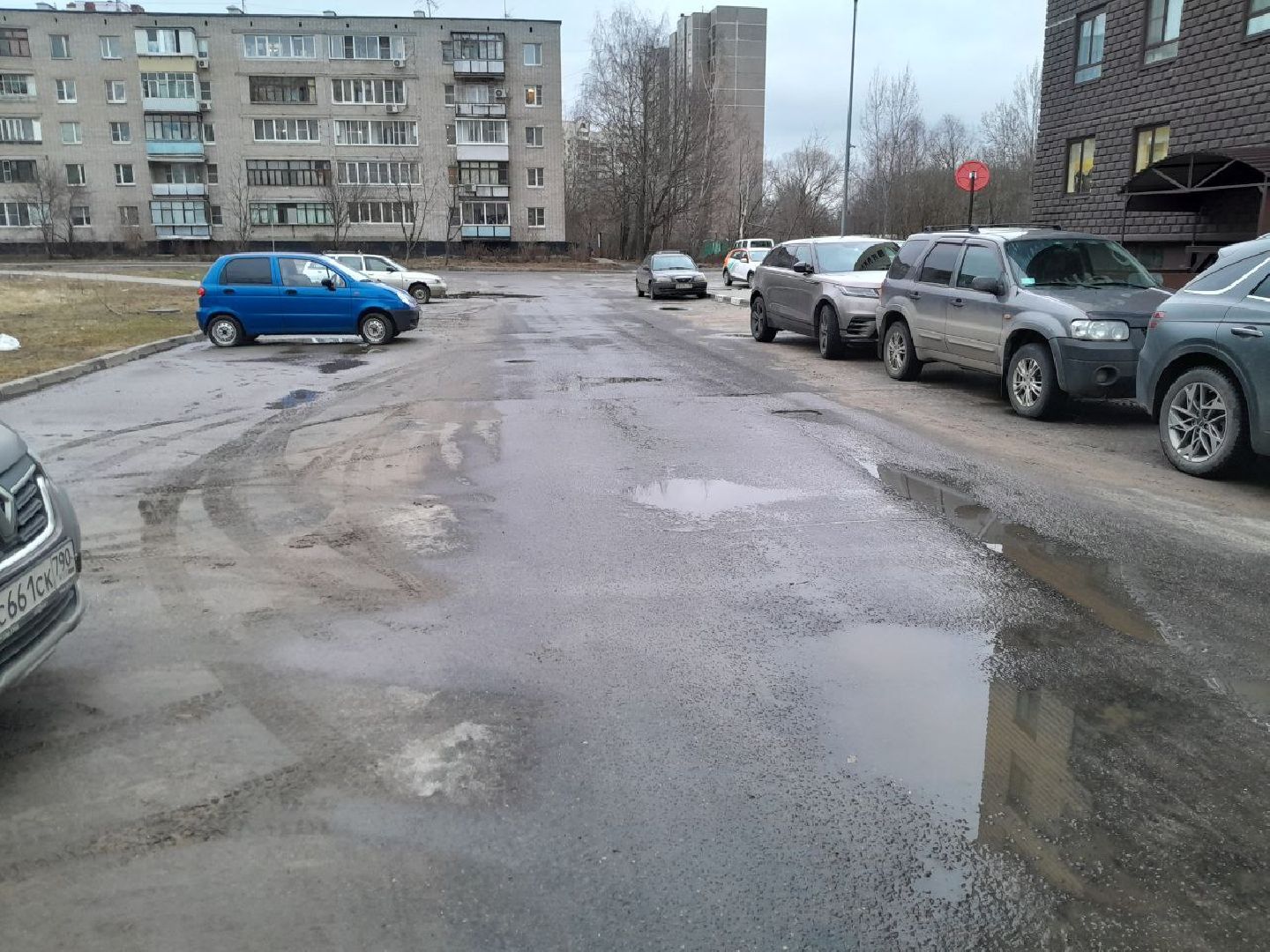 лес, подтопление домов, паводки,