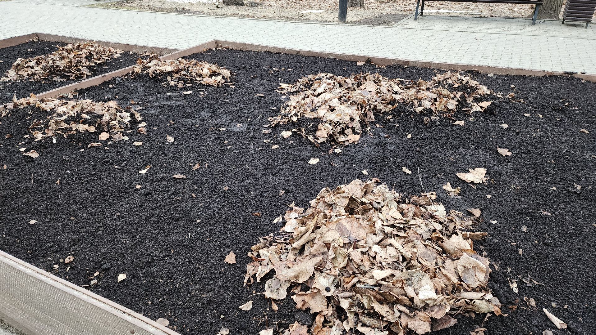 красногорск, городской парк,реконструкция парка,