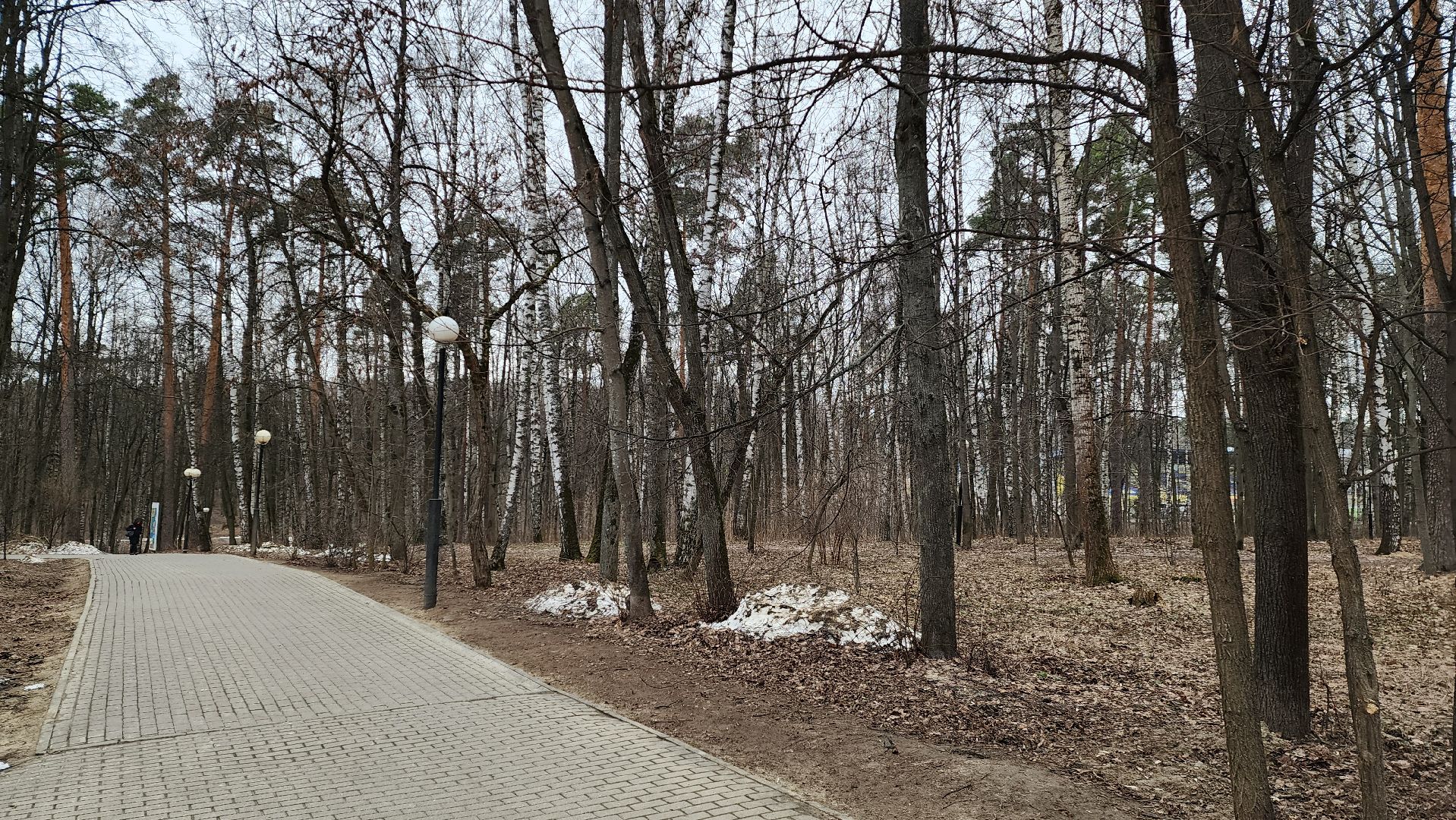 красногорск, городской парк,реконструкция парка,