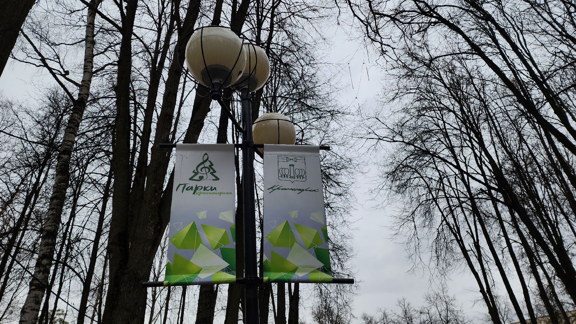 красногорск, городской парк,реконструкция парка,