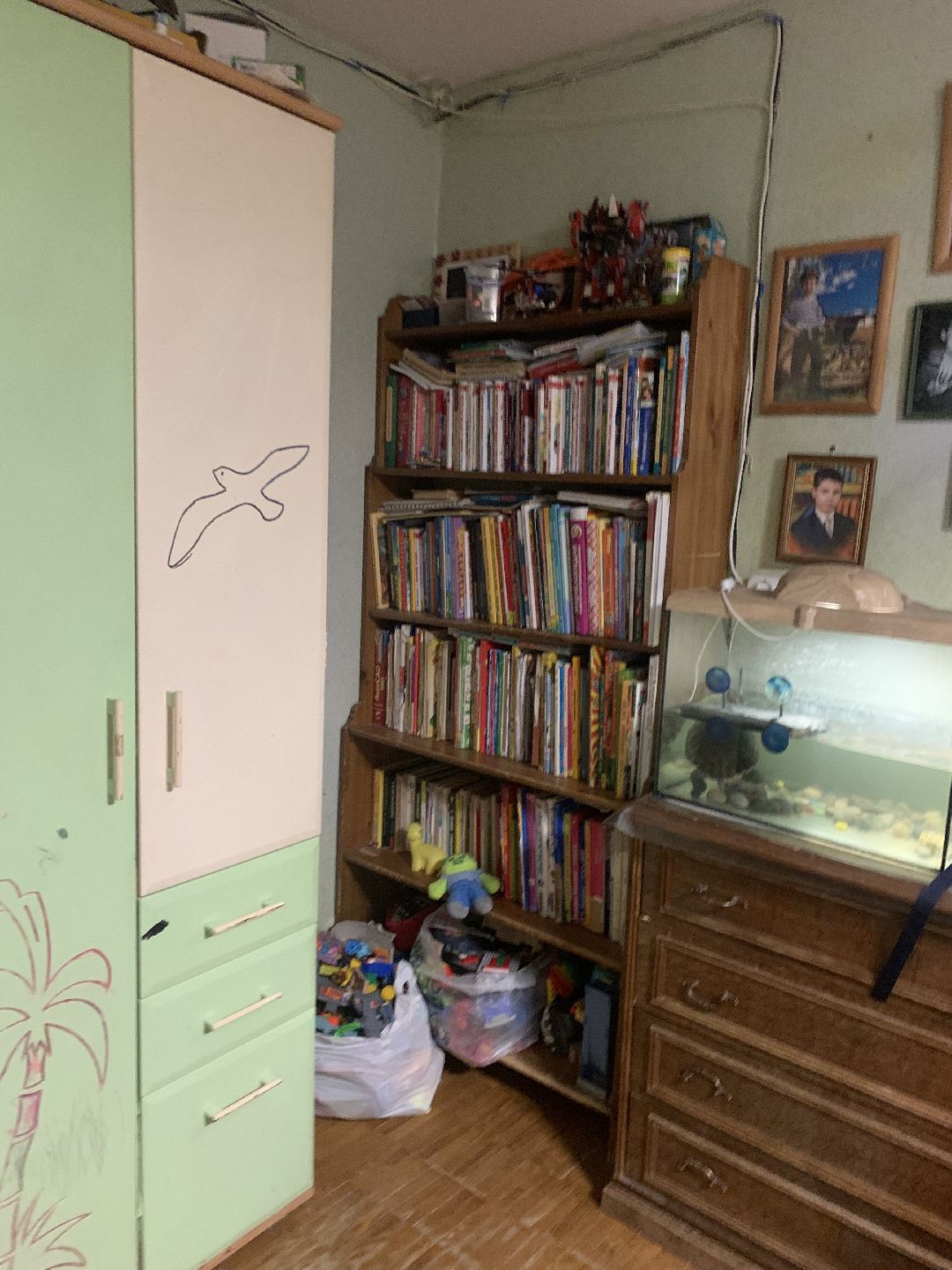 Краснознаменск, общество