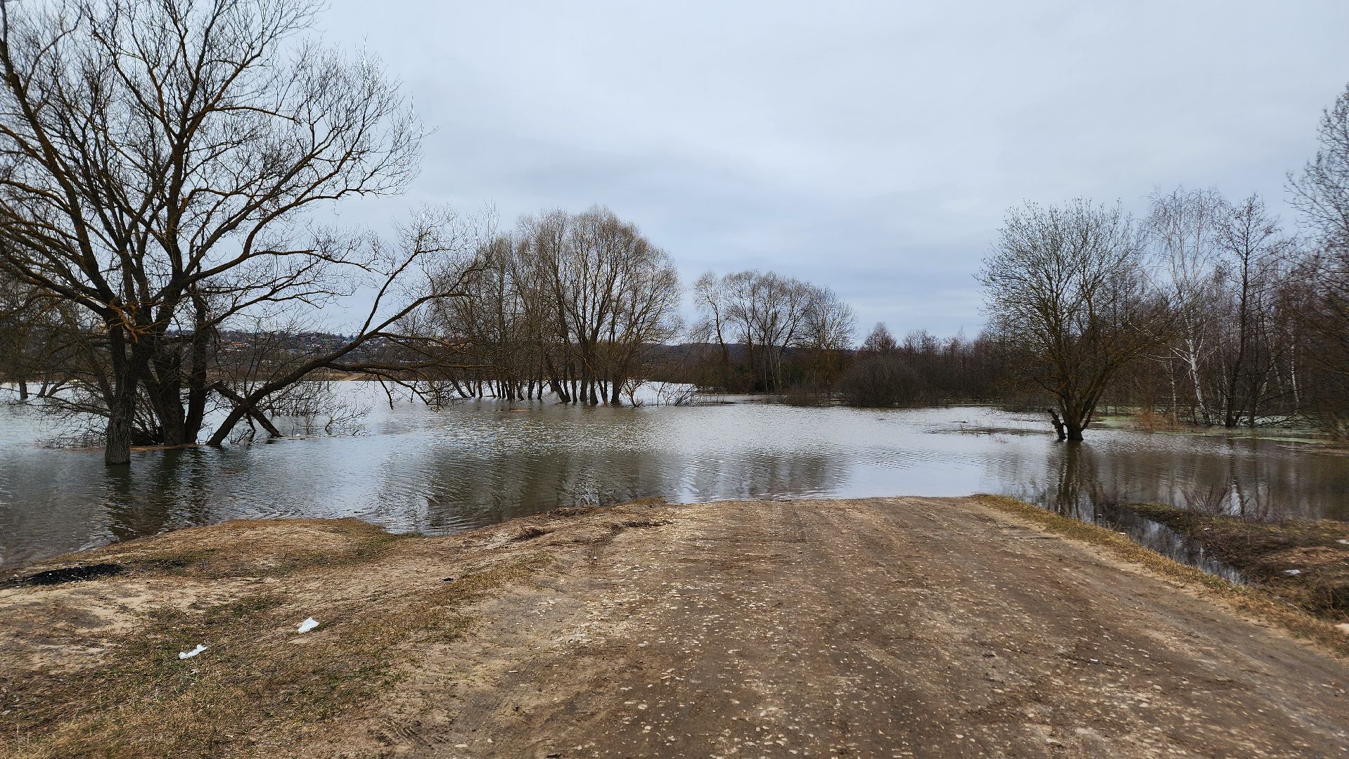 Природа подмосковья, весенний паводок, ступино,