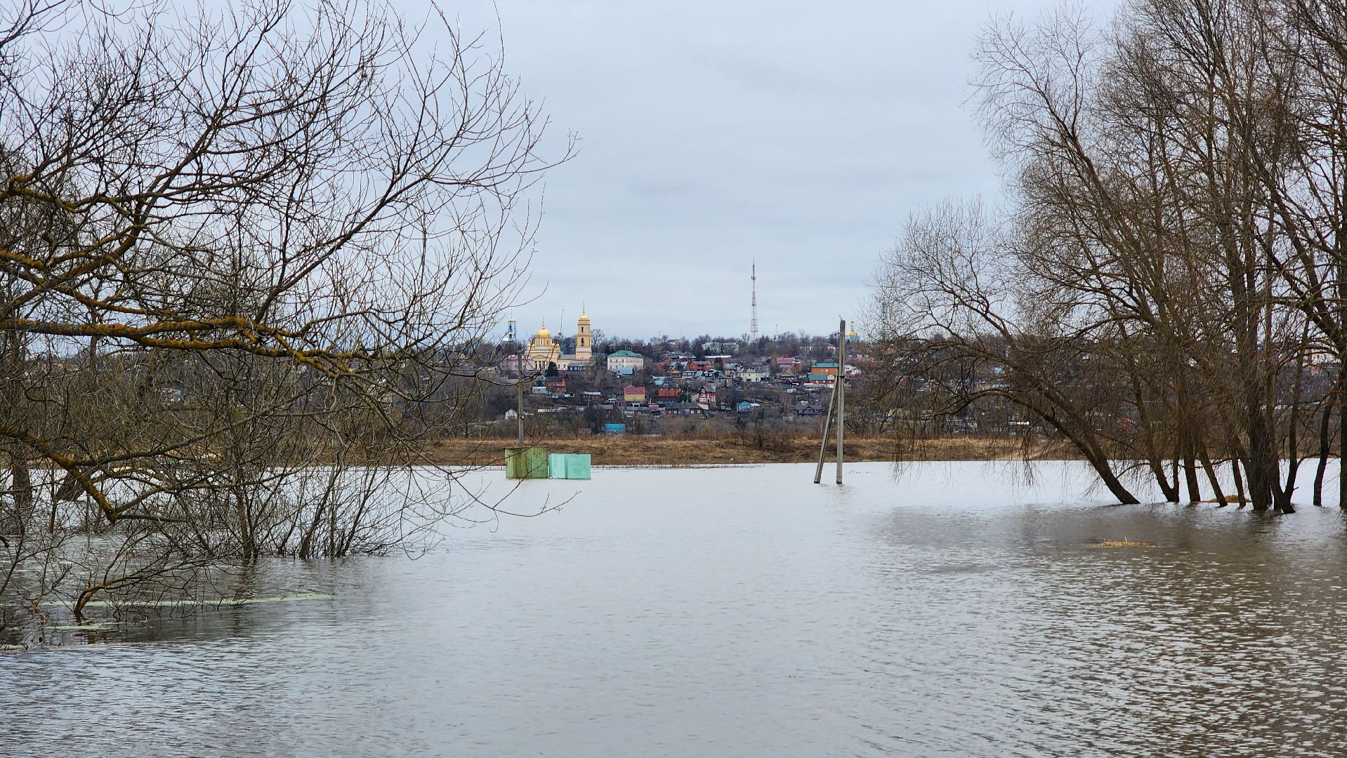 Природа подмосковья, весенний паводок, ступино,