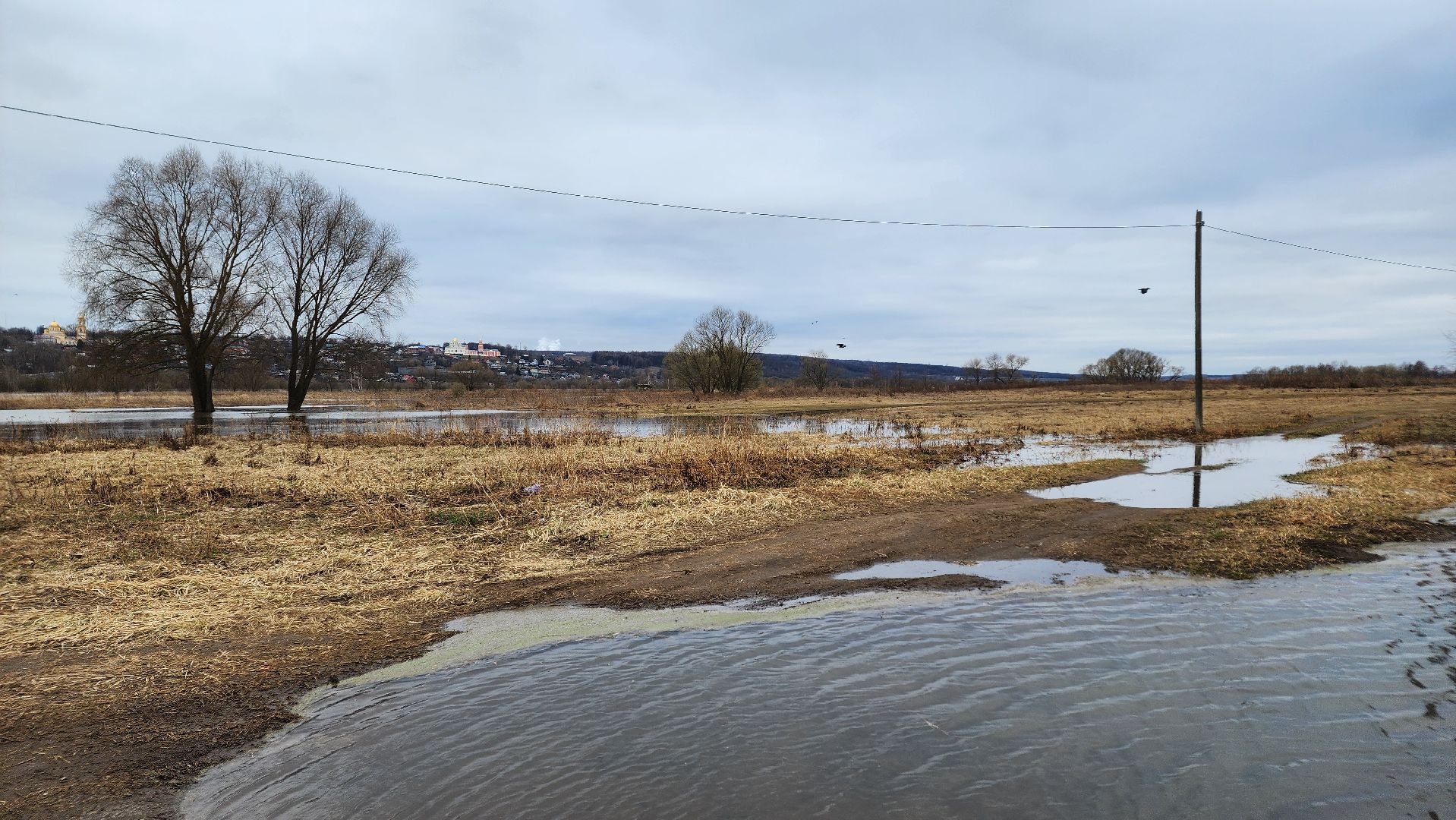 Природа подмосковья, весенний паводок, ступино,