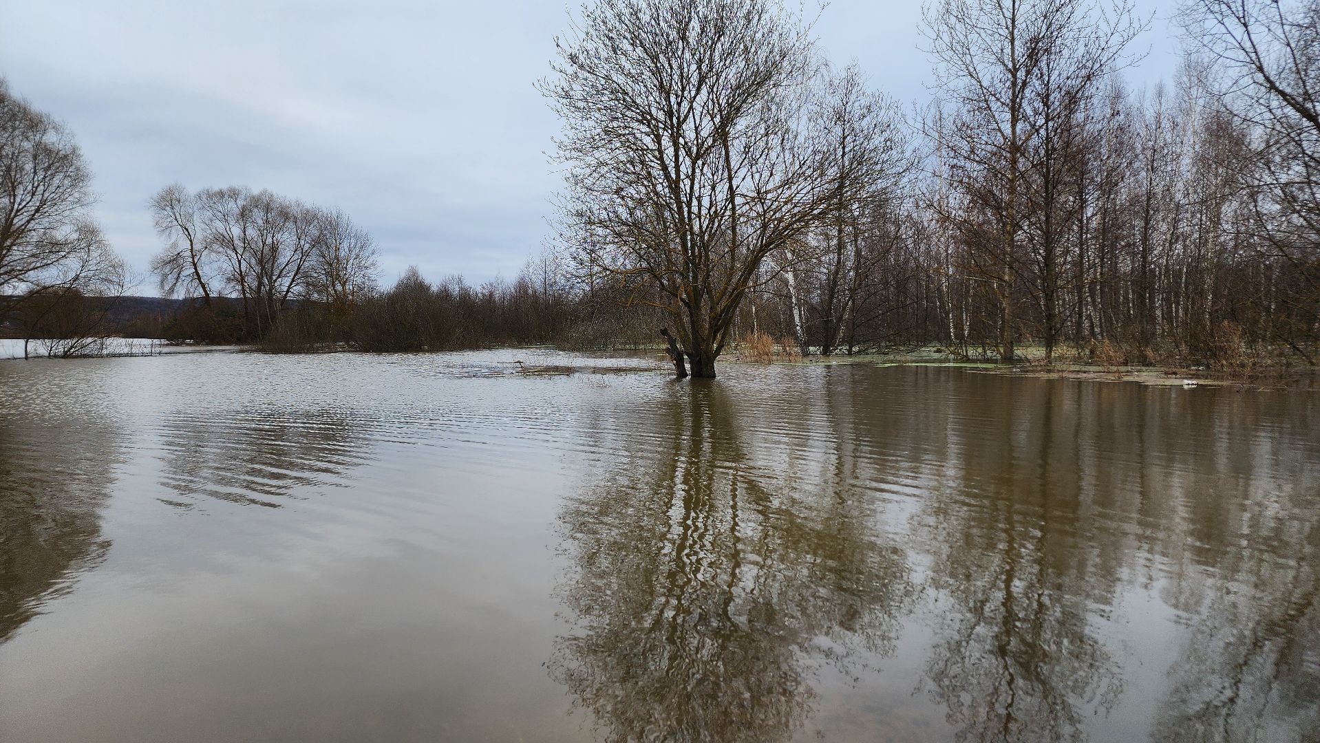 Природа подмосковья, весенний паводок, ступино,