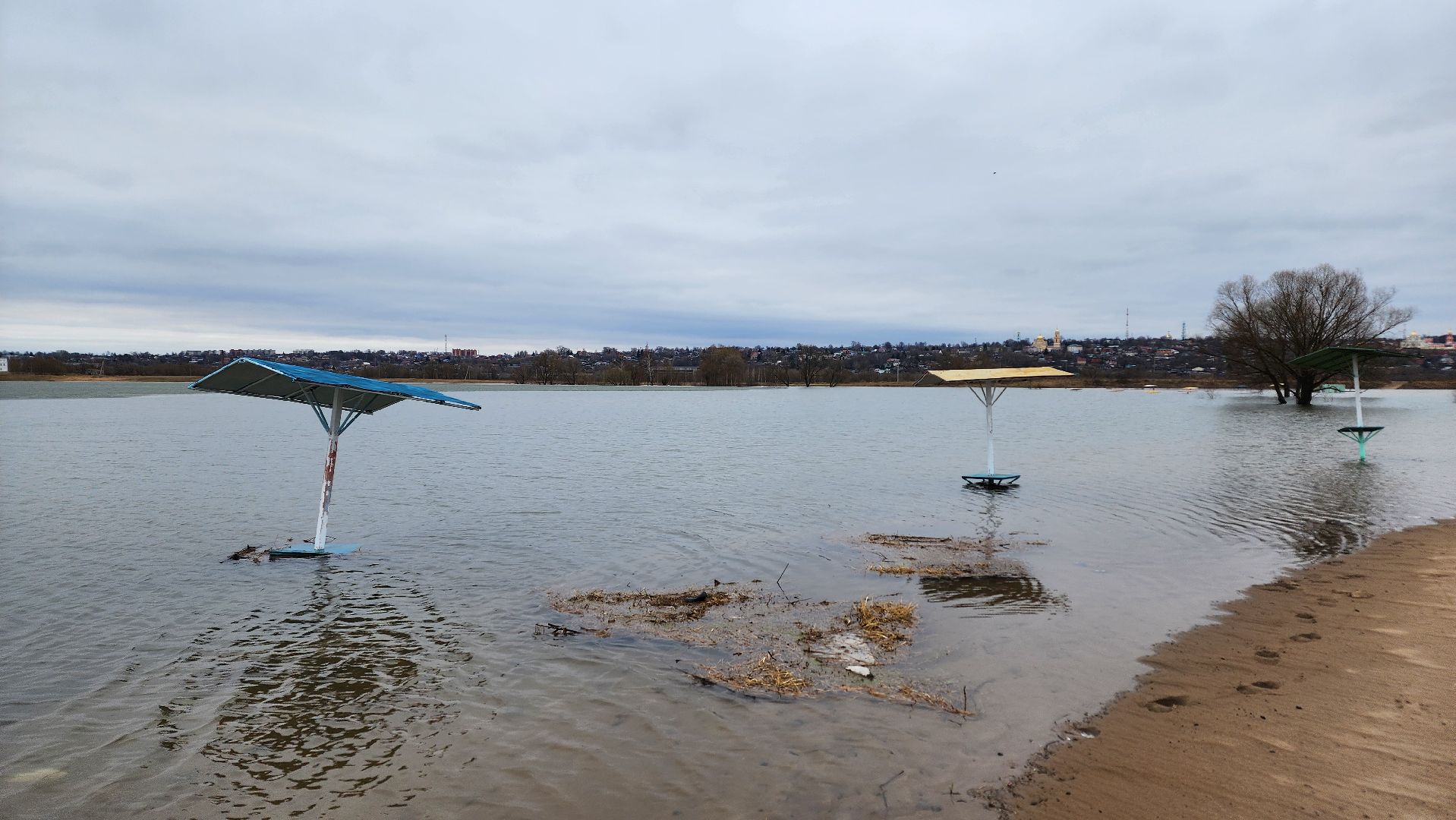 Природа подмосковья, весенний паводок, ступино,