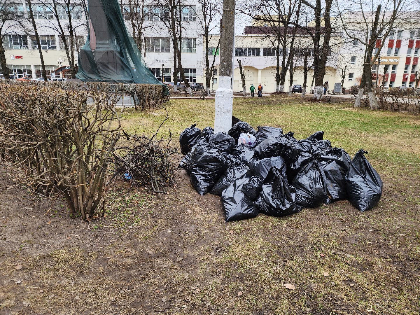 ногинск, уборка, благосфера, субботник,