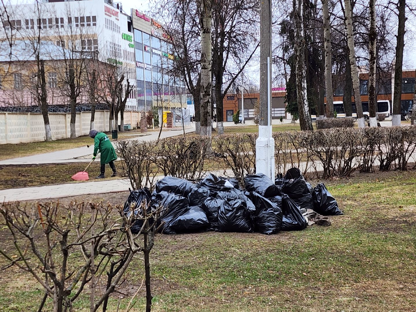 ногинск, уборка, благосфера, субботник,