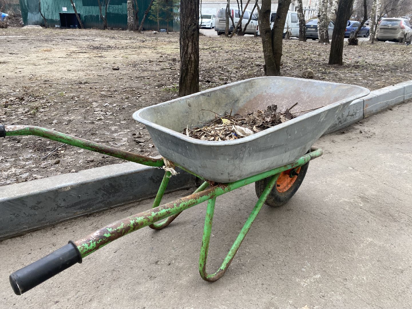 благоустойство, Домодедово, Подмосковье, Месячник благоустройства, субботник, Голосование, Чистый город, Уборка памятников,