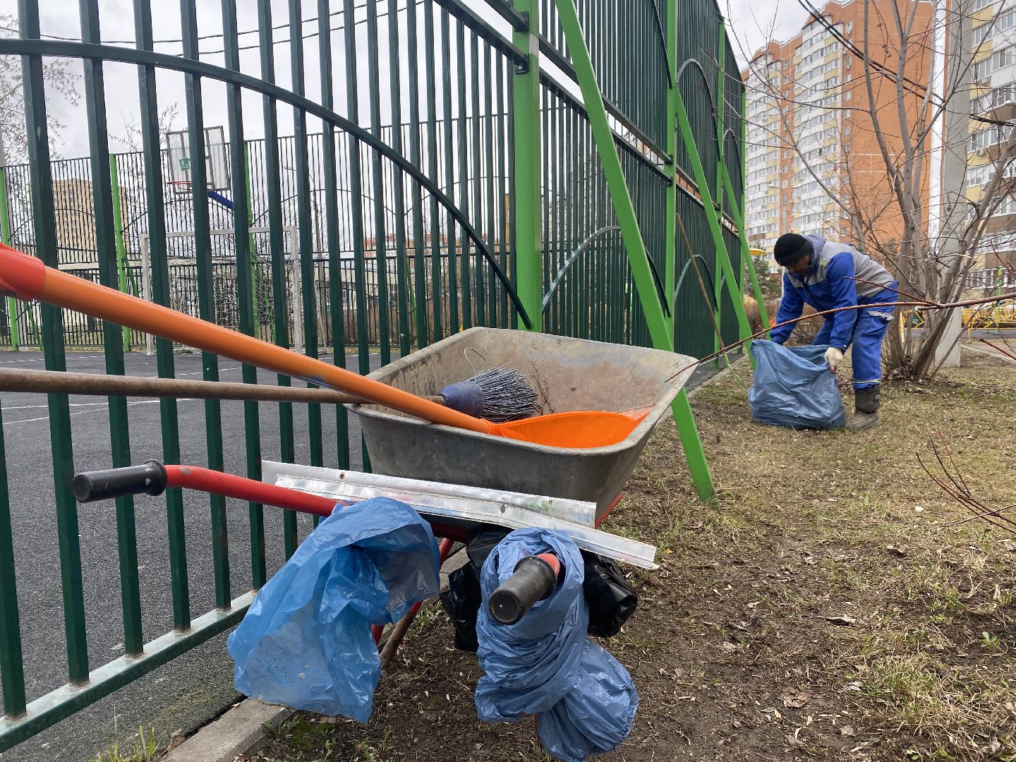 благоустойство, Домодедово, Подмосковье, Месячник благоустройства, субботник, Голосование, Чистый город, Уборка памятников,