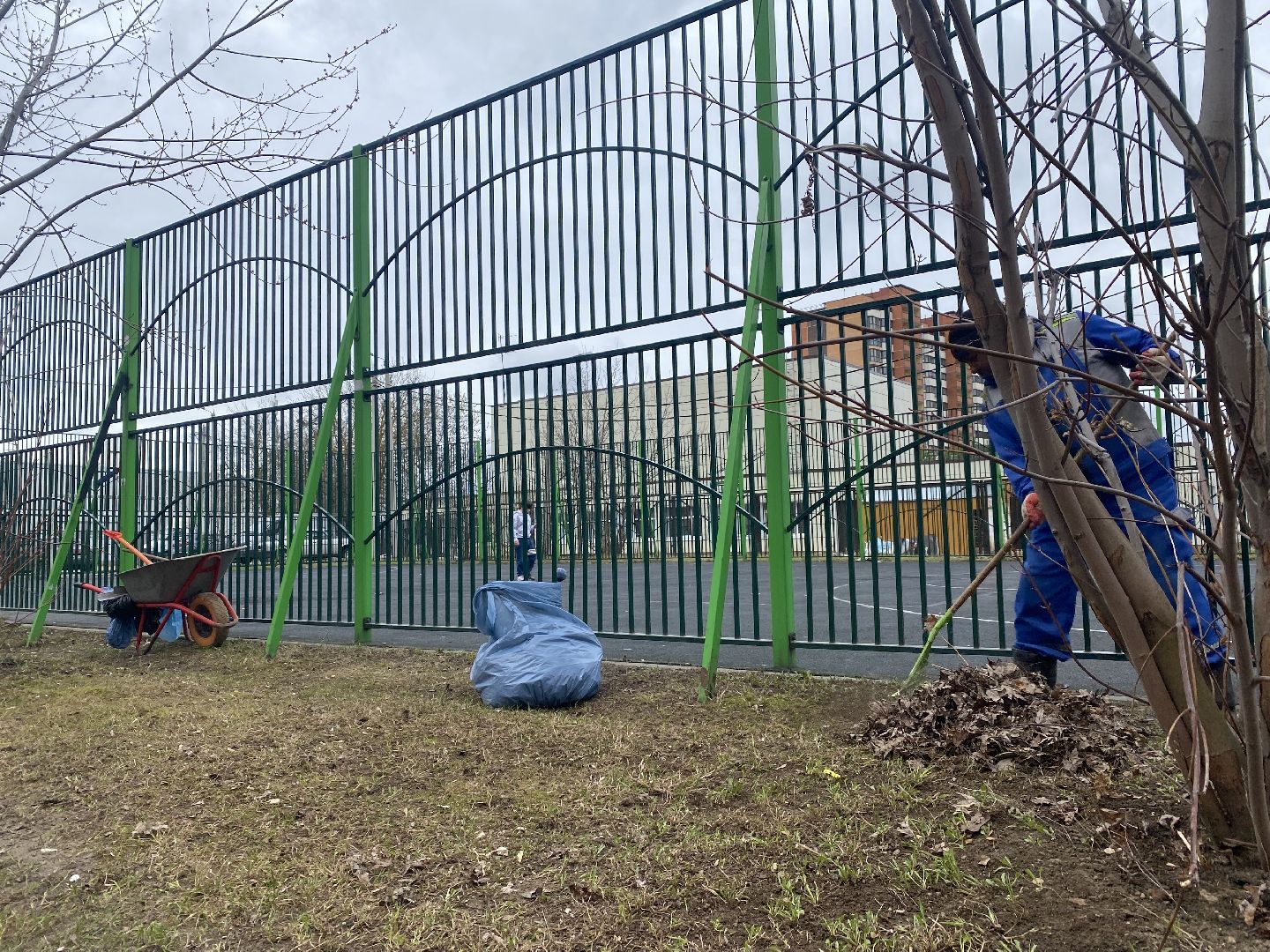 благоустойство, Домодедово, Подмосковье, Месячник благоустройства, субботник, Голосование, Чистый город, Уборка памятников,