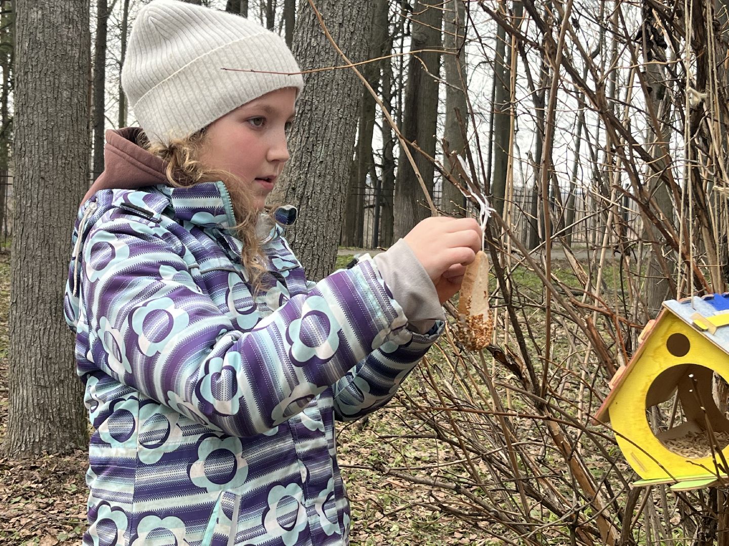 наро-фоминск,центральный парк наро-фоминска, наро-фоминский городской округ, день пернатых, зеленый дятел, красная книга,пернатые в парках,