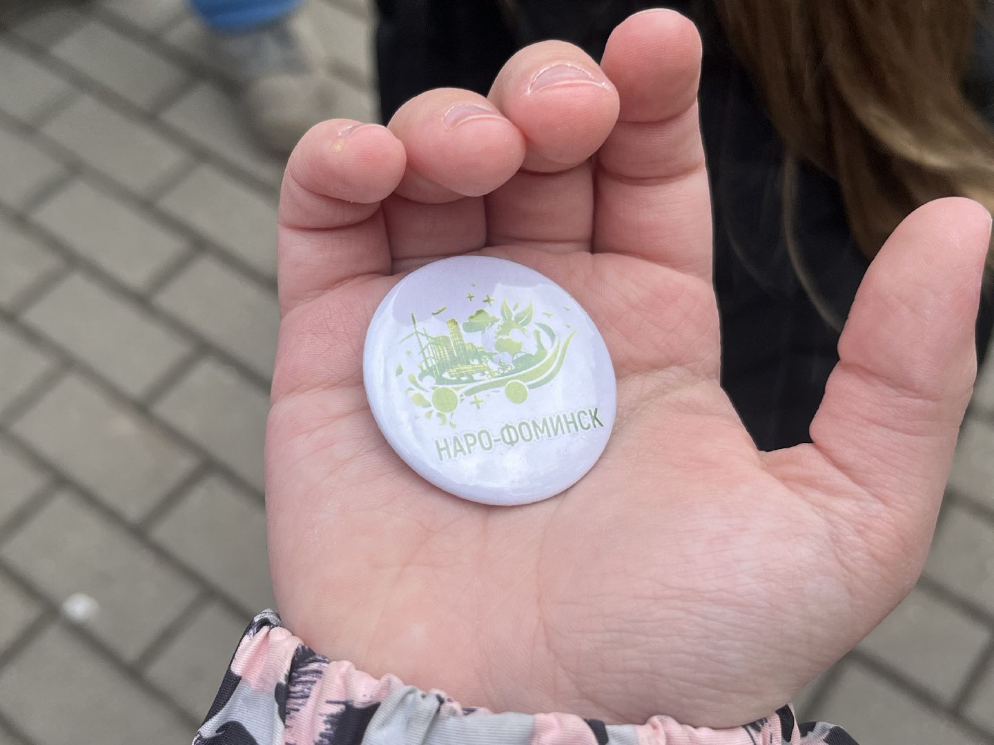 наро-фоминск,центральный парк наро-фоминска, наро-фоминский городской округ, день пернатых, зеленый дятел, красная книга,пернатые в парках,