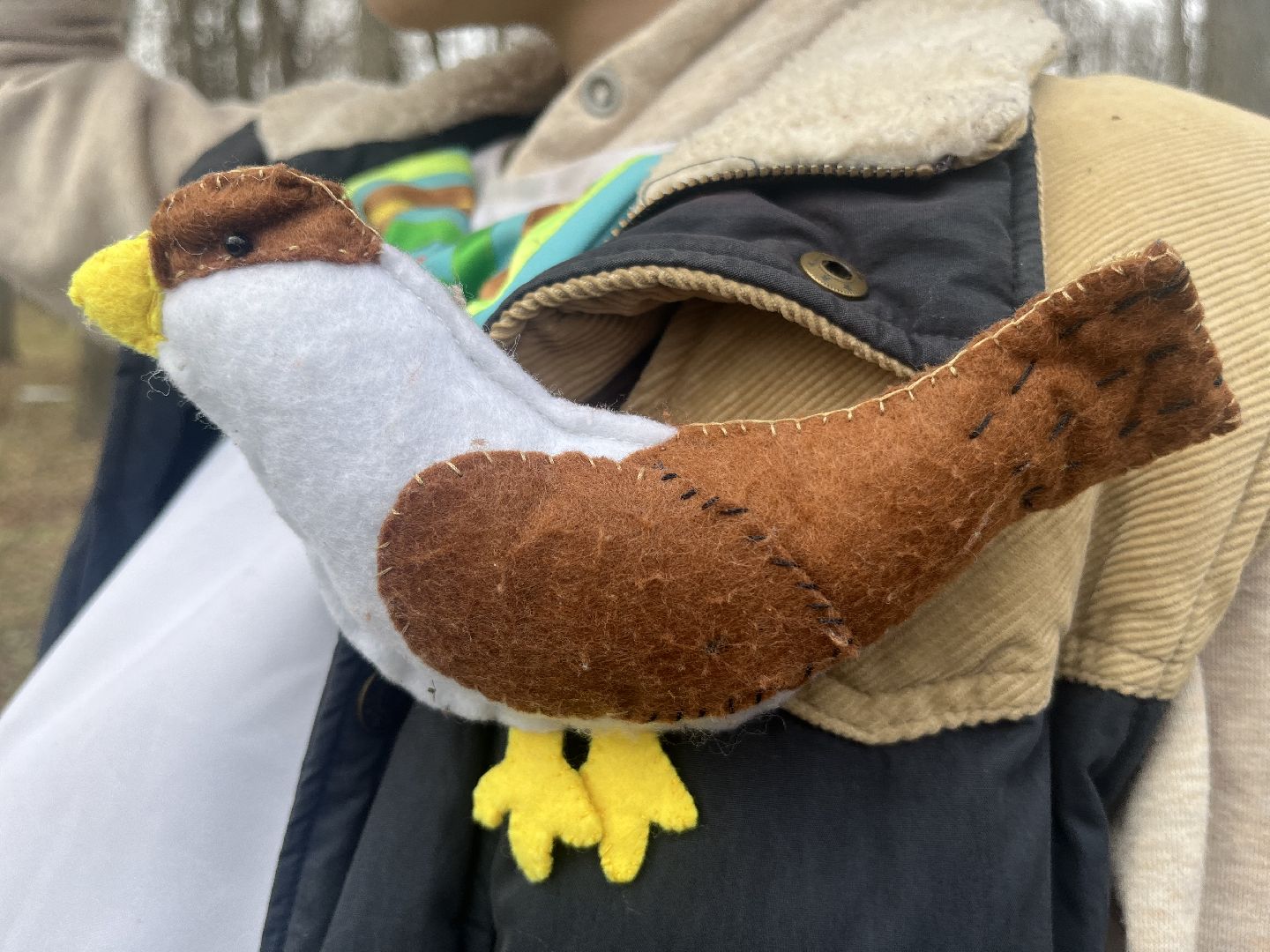 наро-фоминск,центральный парк наро-фоминска, наро-фоминский городской округ, день пернатых, зеленый дятел, красная книга,пернатые в парках,