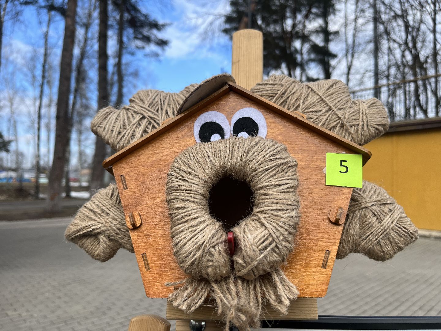 наро-фоминск,центральный парк наро-фоминска, наро-фоминский городской округ, день пернатых, зеленый дятел, красная книга,пернатые в парках,