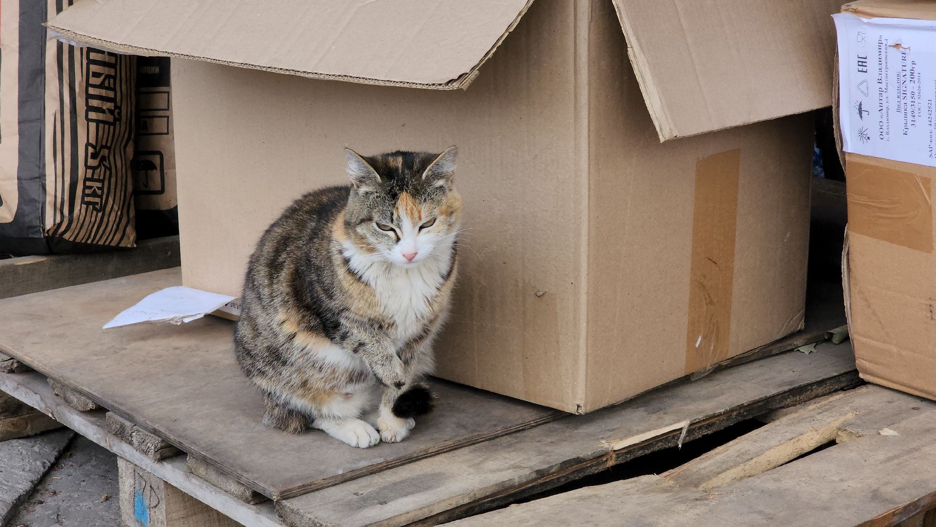 минсельхоз, благоустройство, предприниматели, Лосино-Петровский,