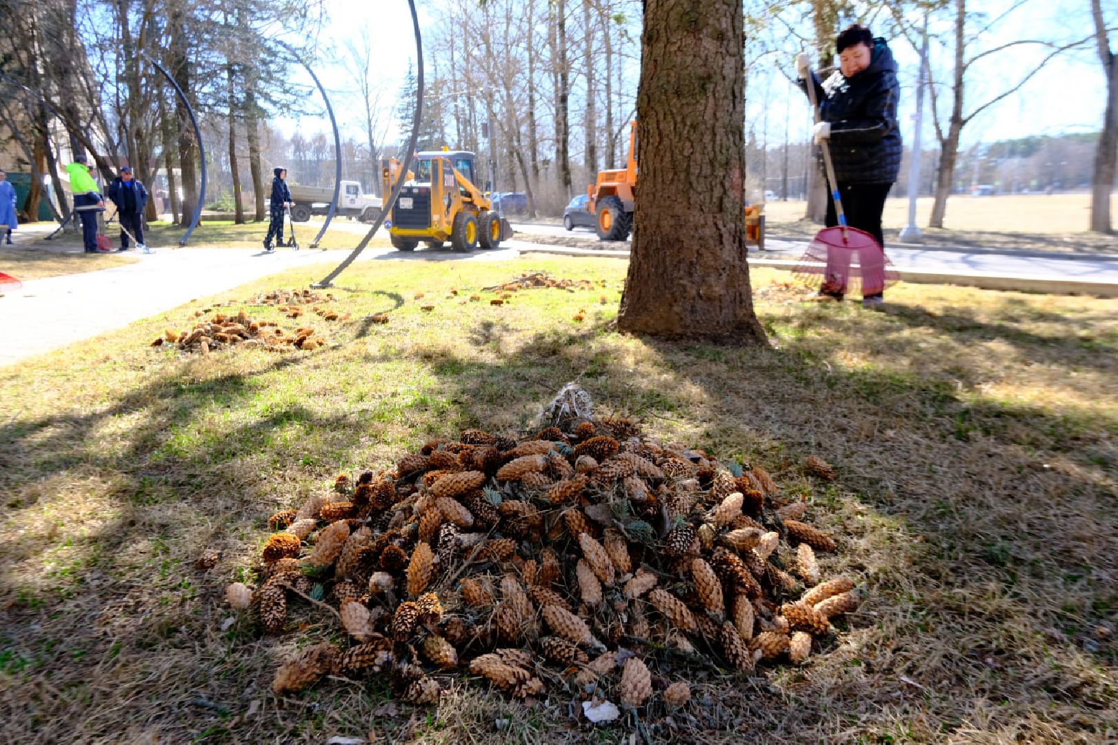 пущино, благоустройство,субботники,