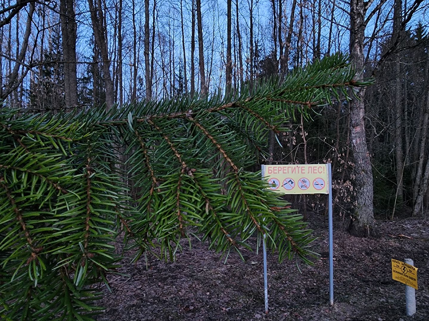 Дубна, Дубненская больница, Эпидемиолог, Клещи, клещевой энцефалит,