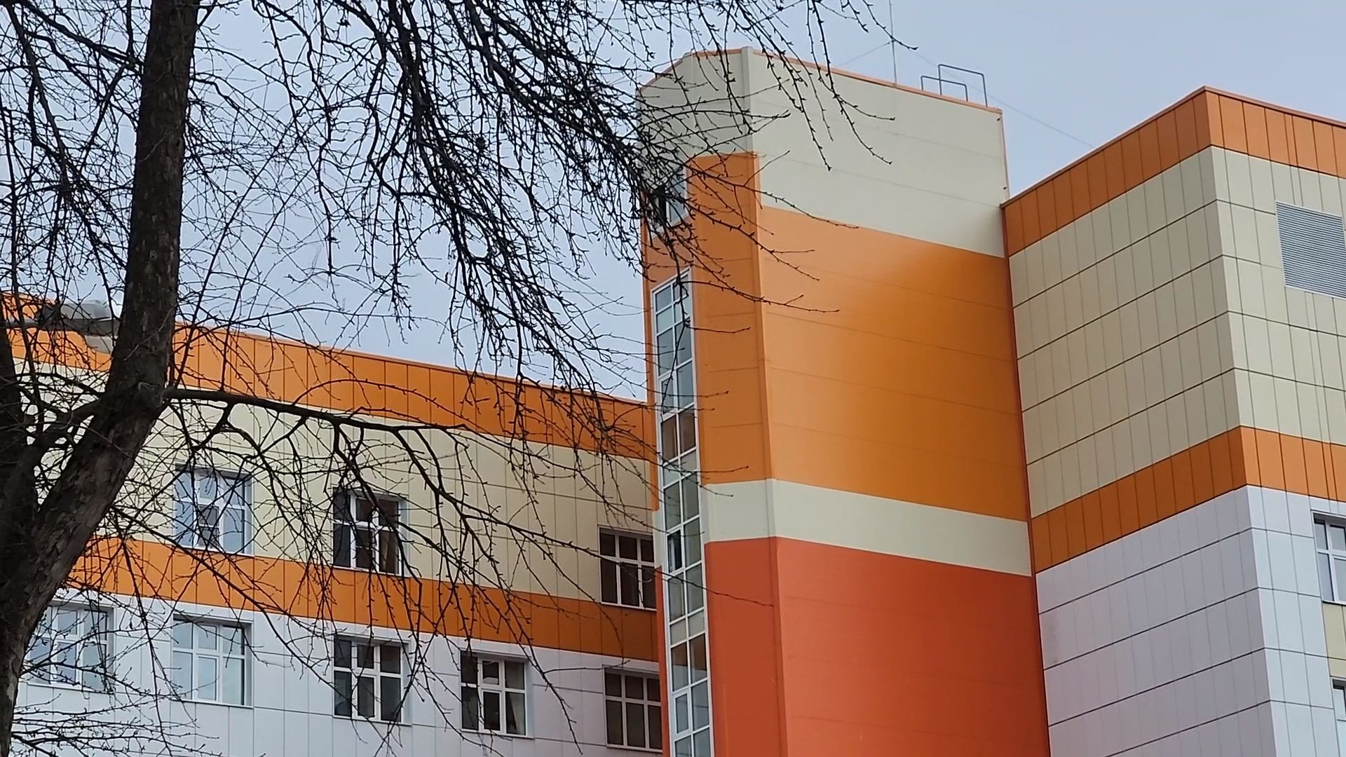 Дубна, Дубненская больница, Эпидемиолог, Клещи, клещевой энцефалит,