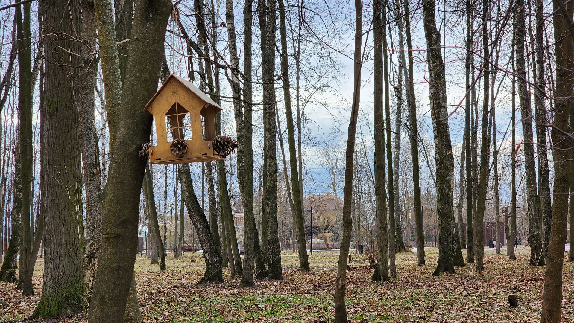 парк, парки подмосковья, месяц чистоты и благоустройства, Лосино-Петровский,