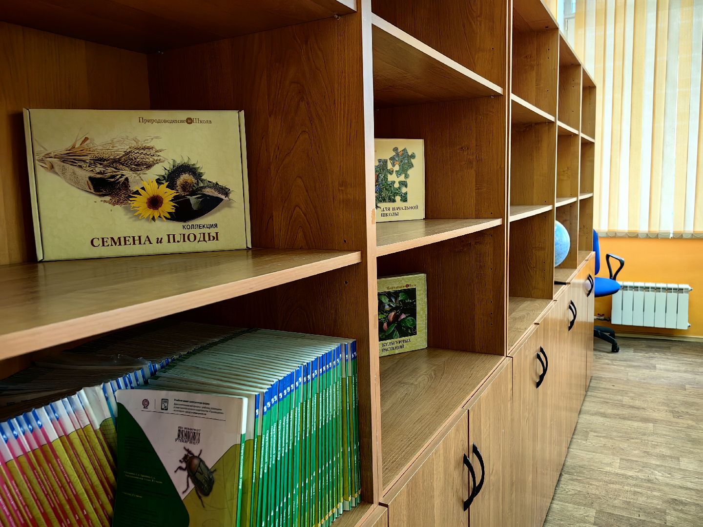 заявление в 1 класс, предшкола, зачисление, госуслуги,