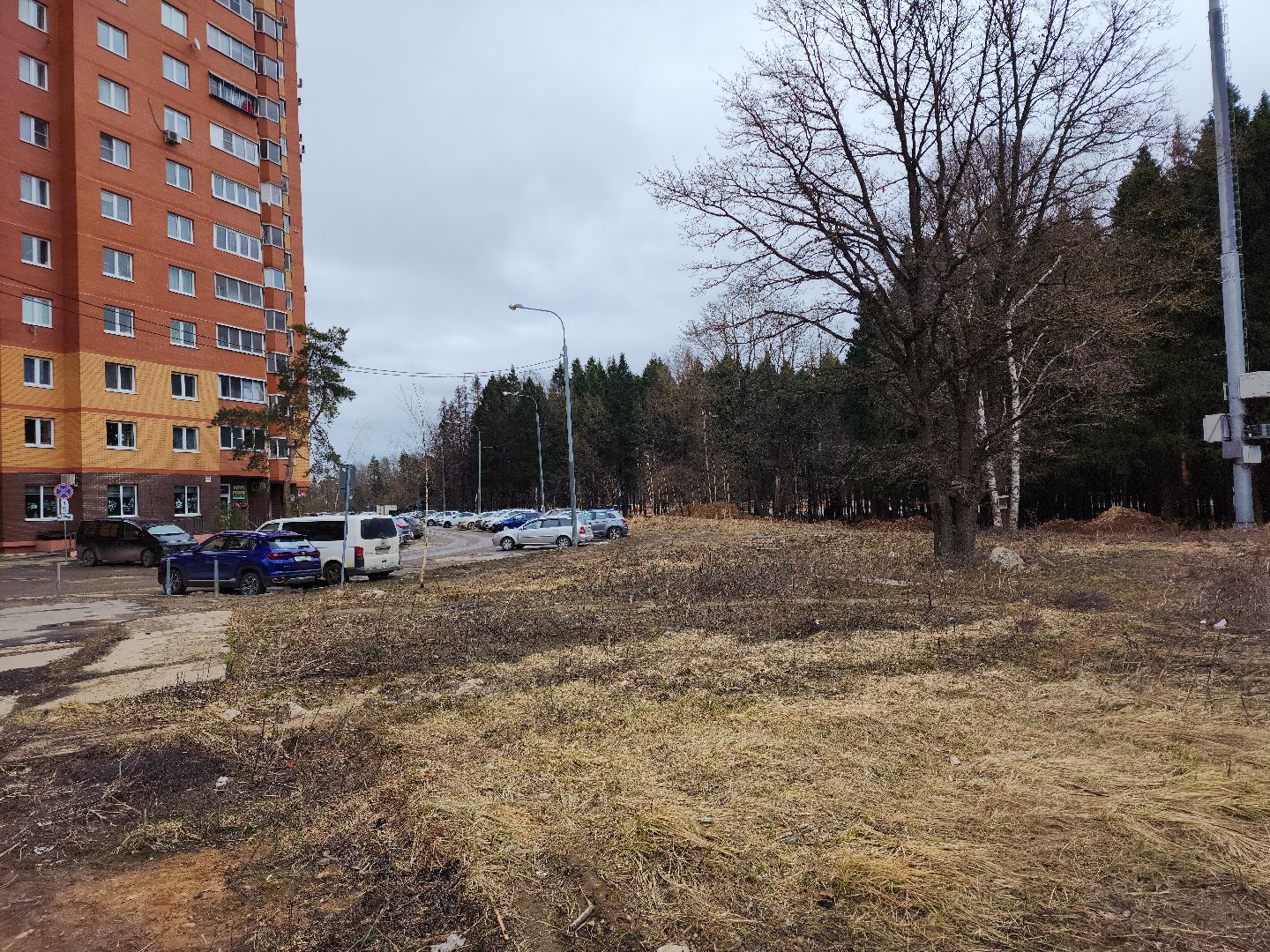 Звенигород, Субботник, Благоустройство,