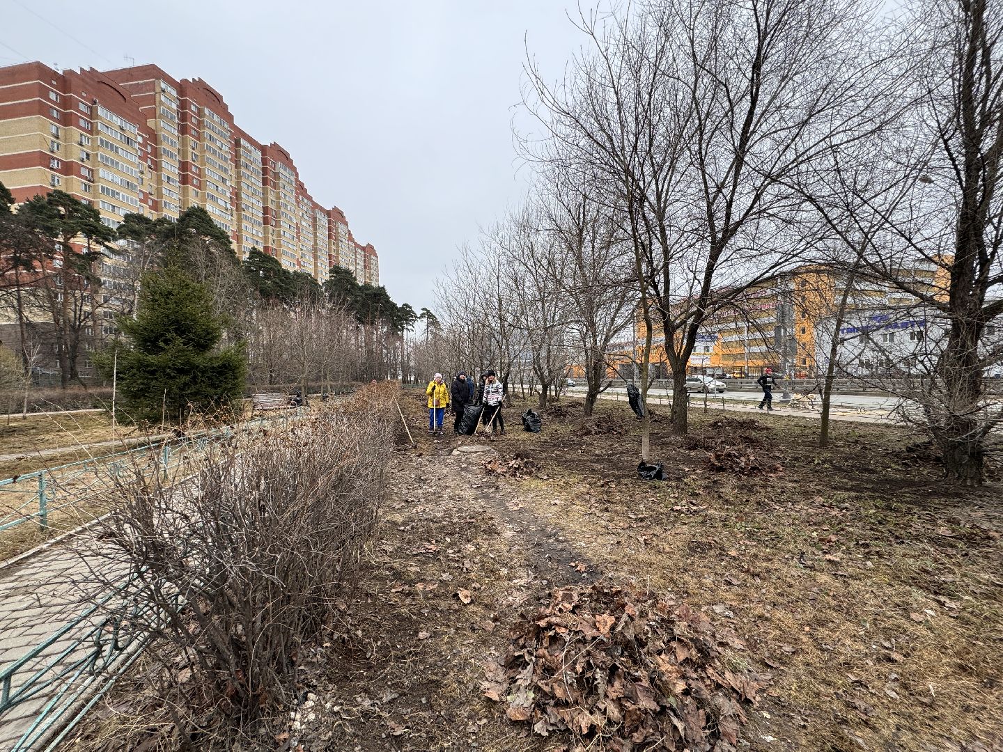 Одинцово, Субботники, Чистый город,